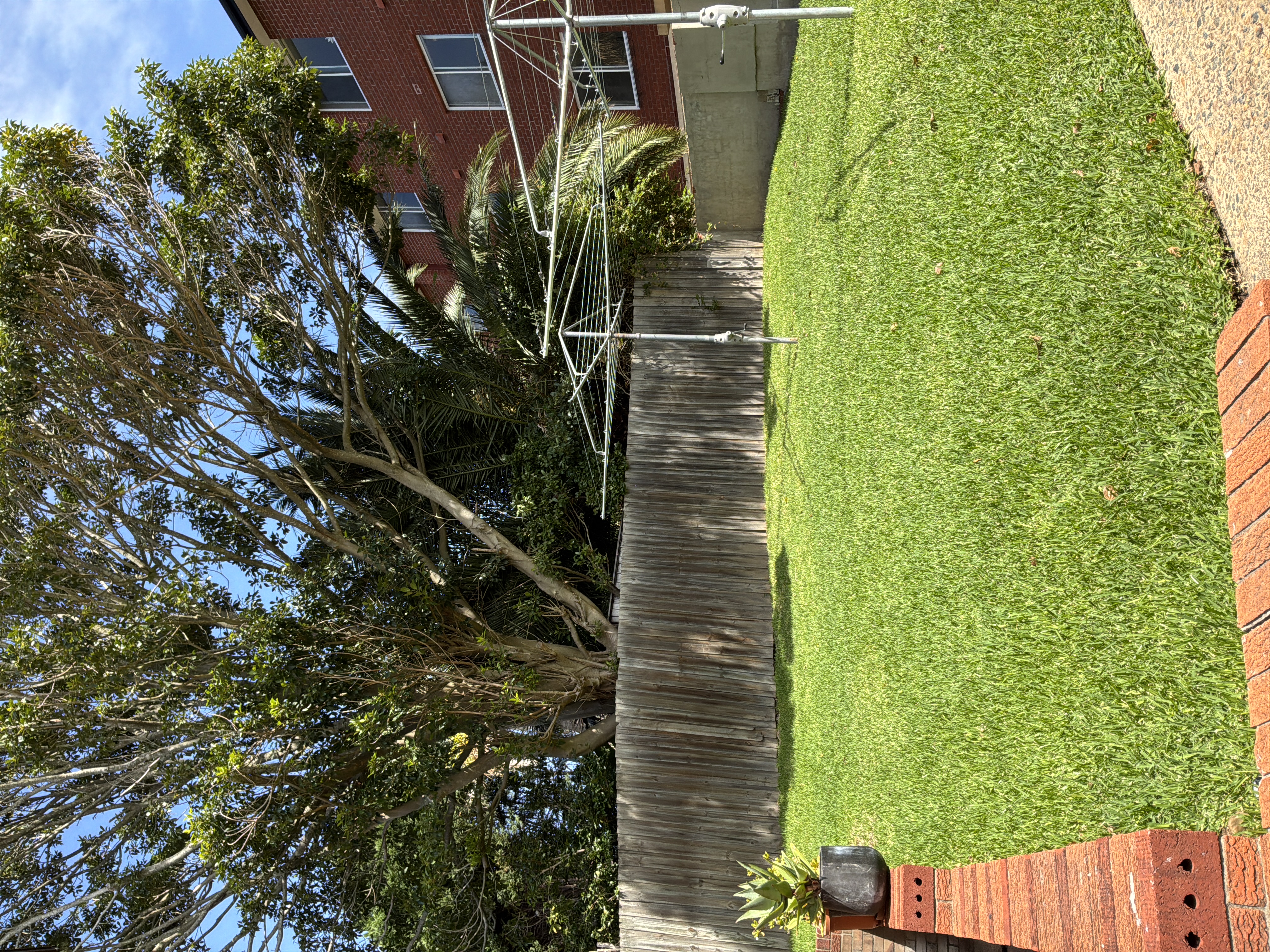 image-14