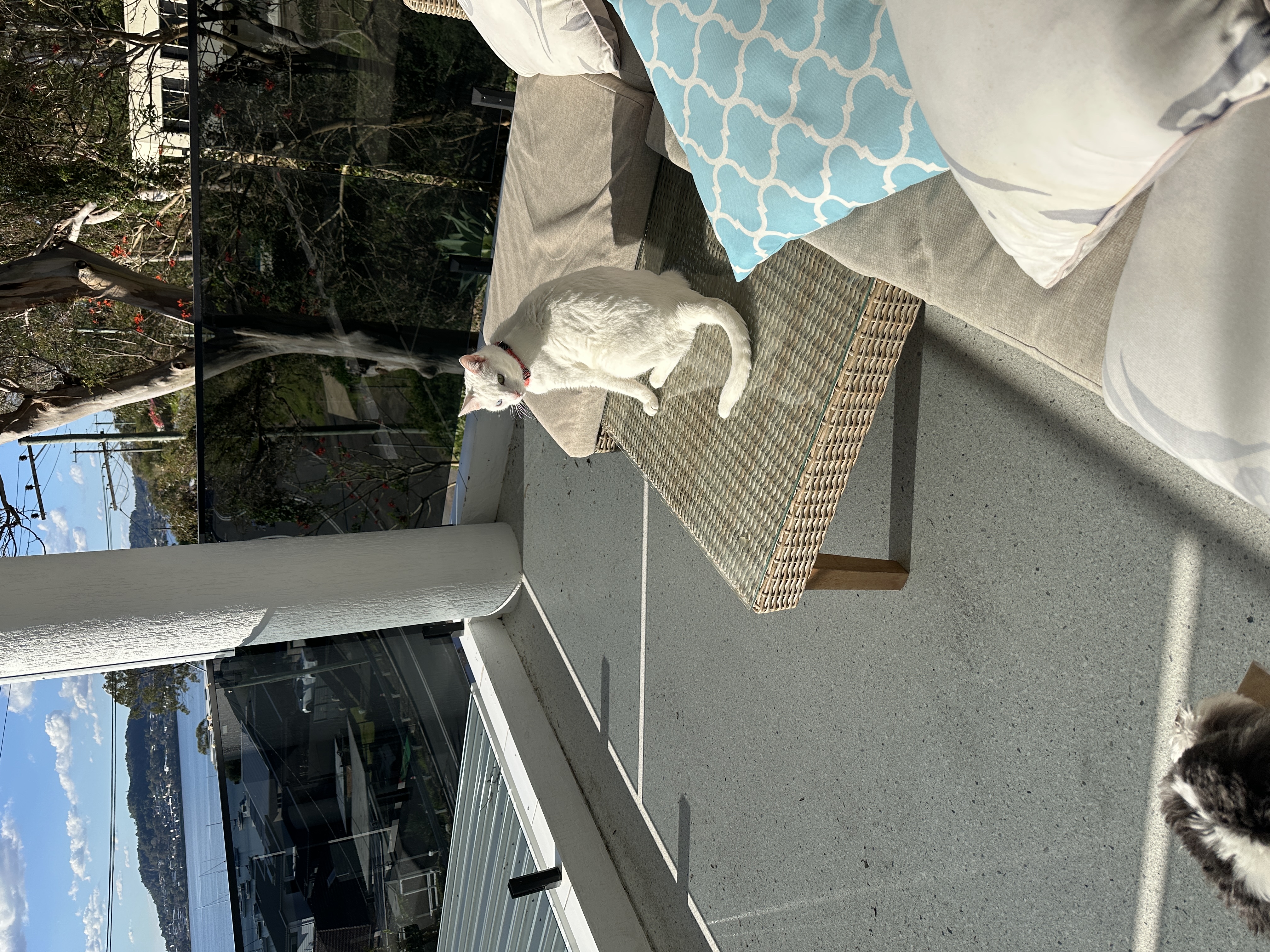 image-14