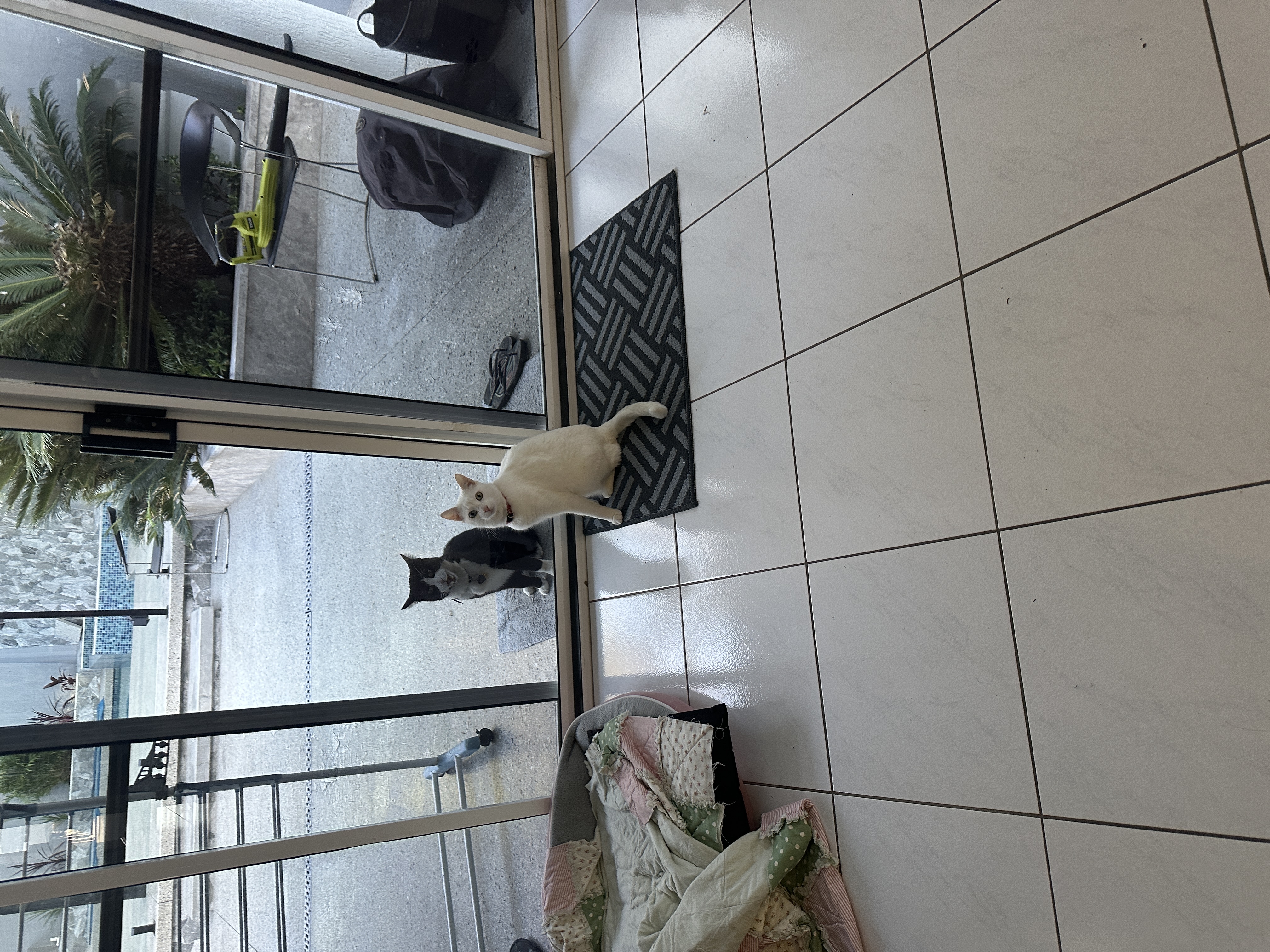 image-16