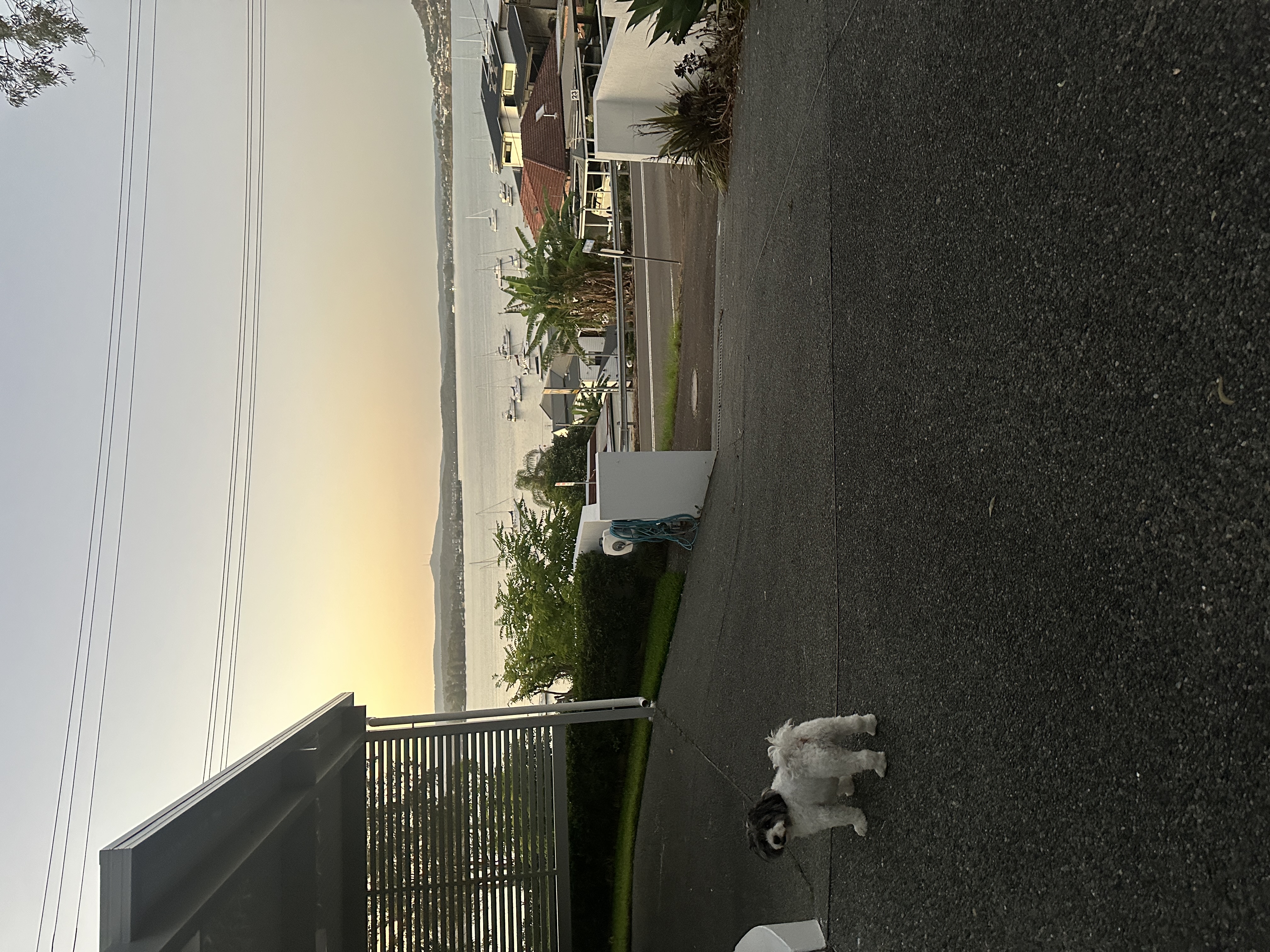 image-17