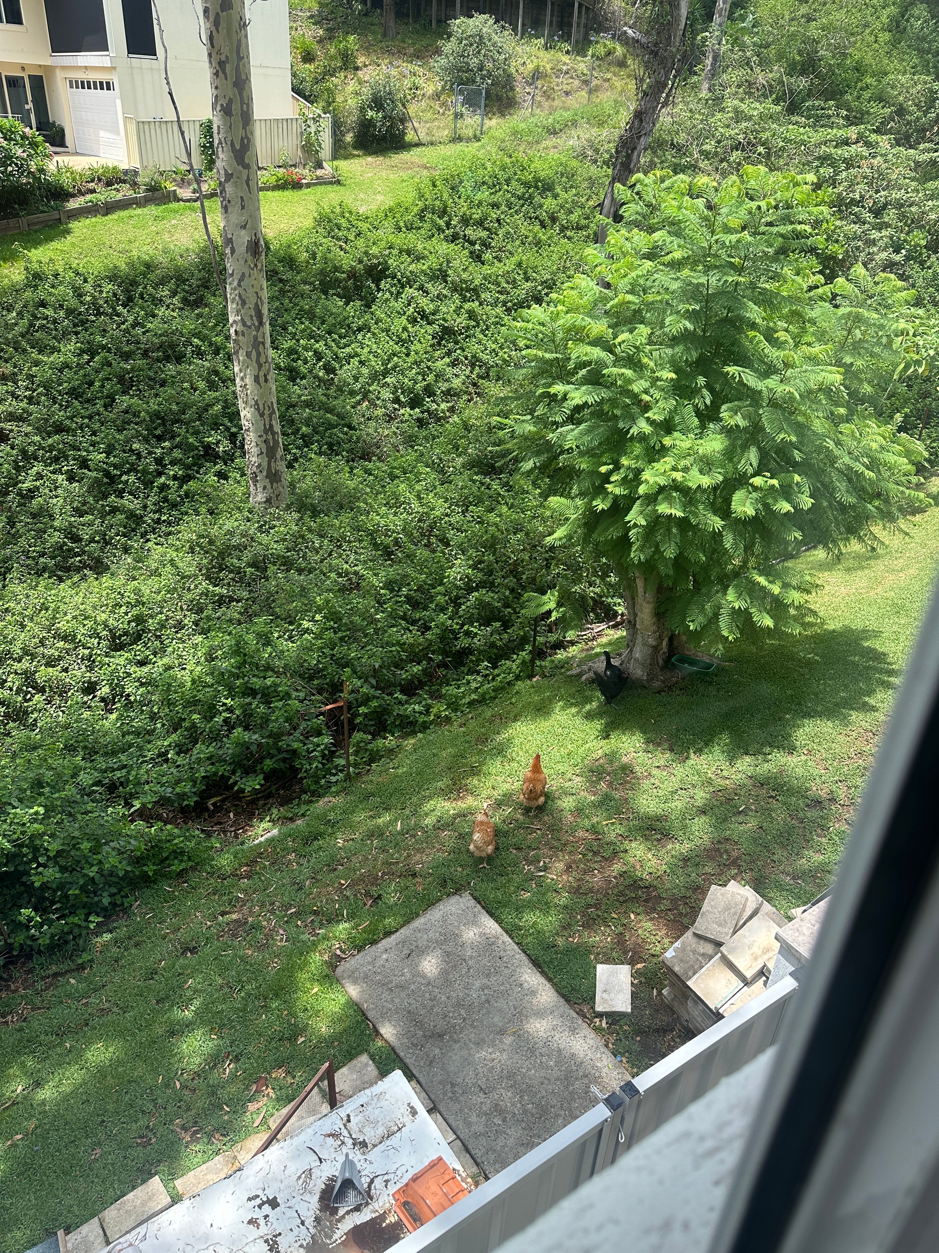 image-18