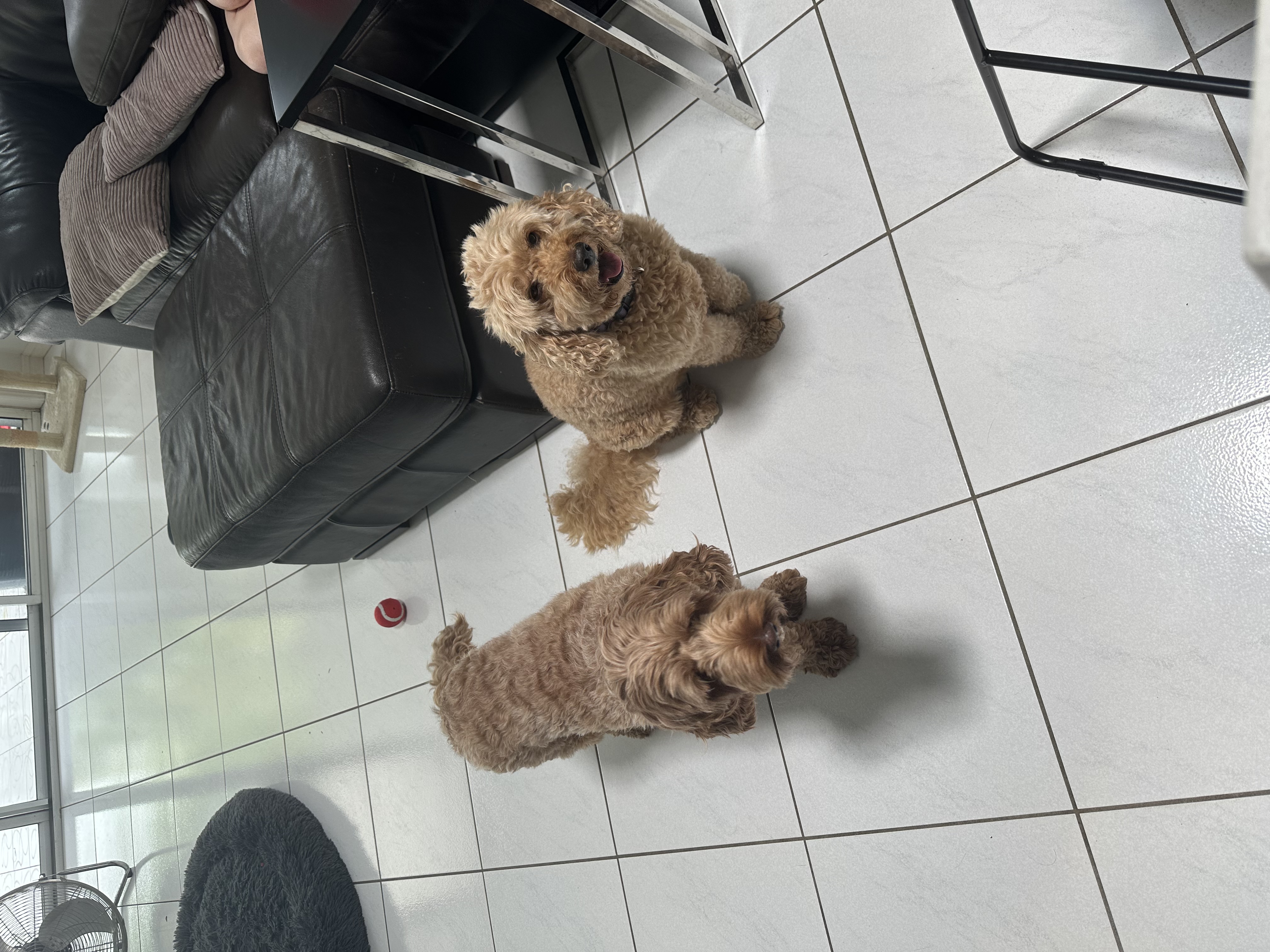 image-11