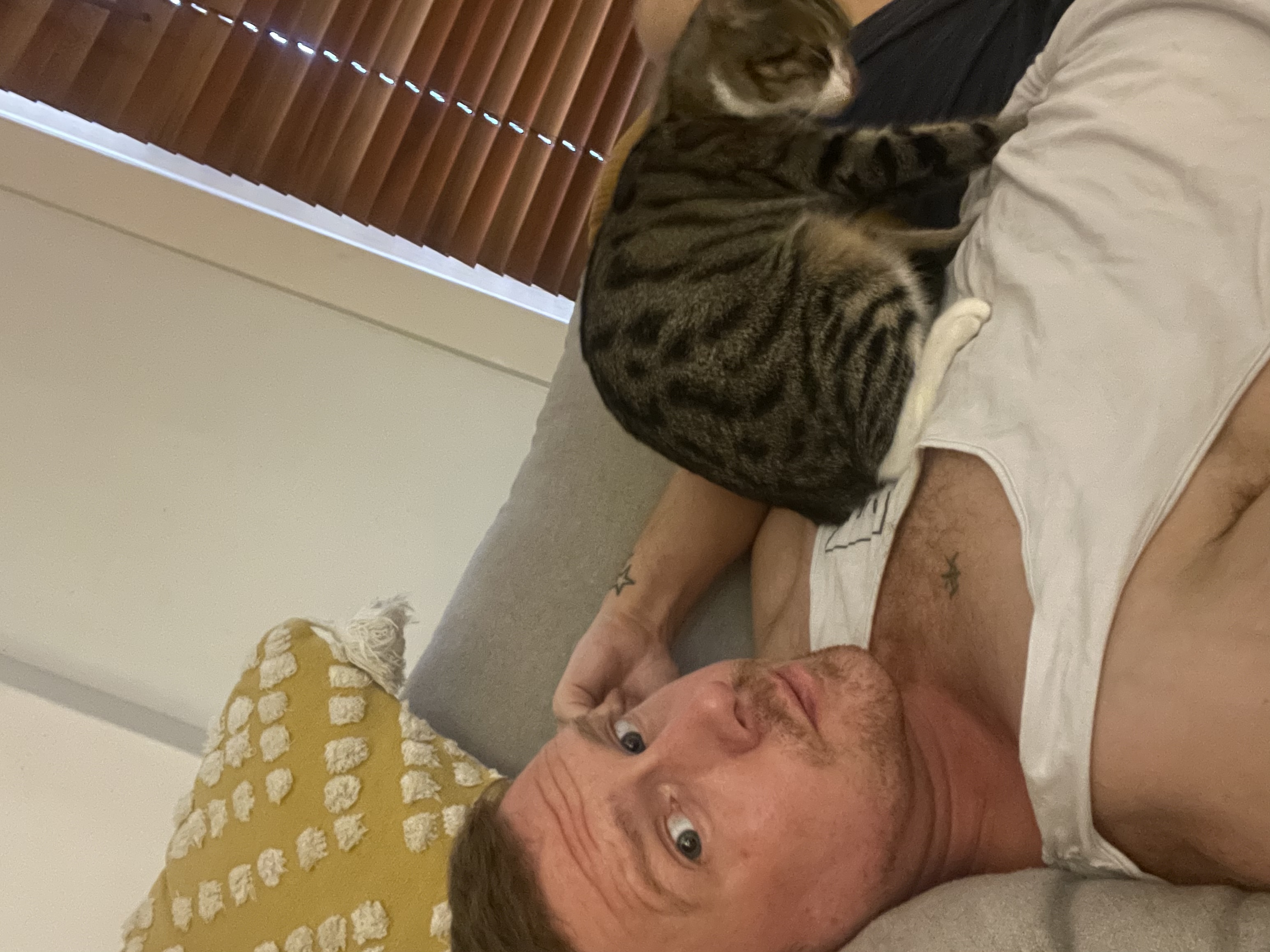 image-8