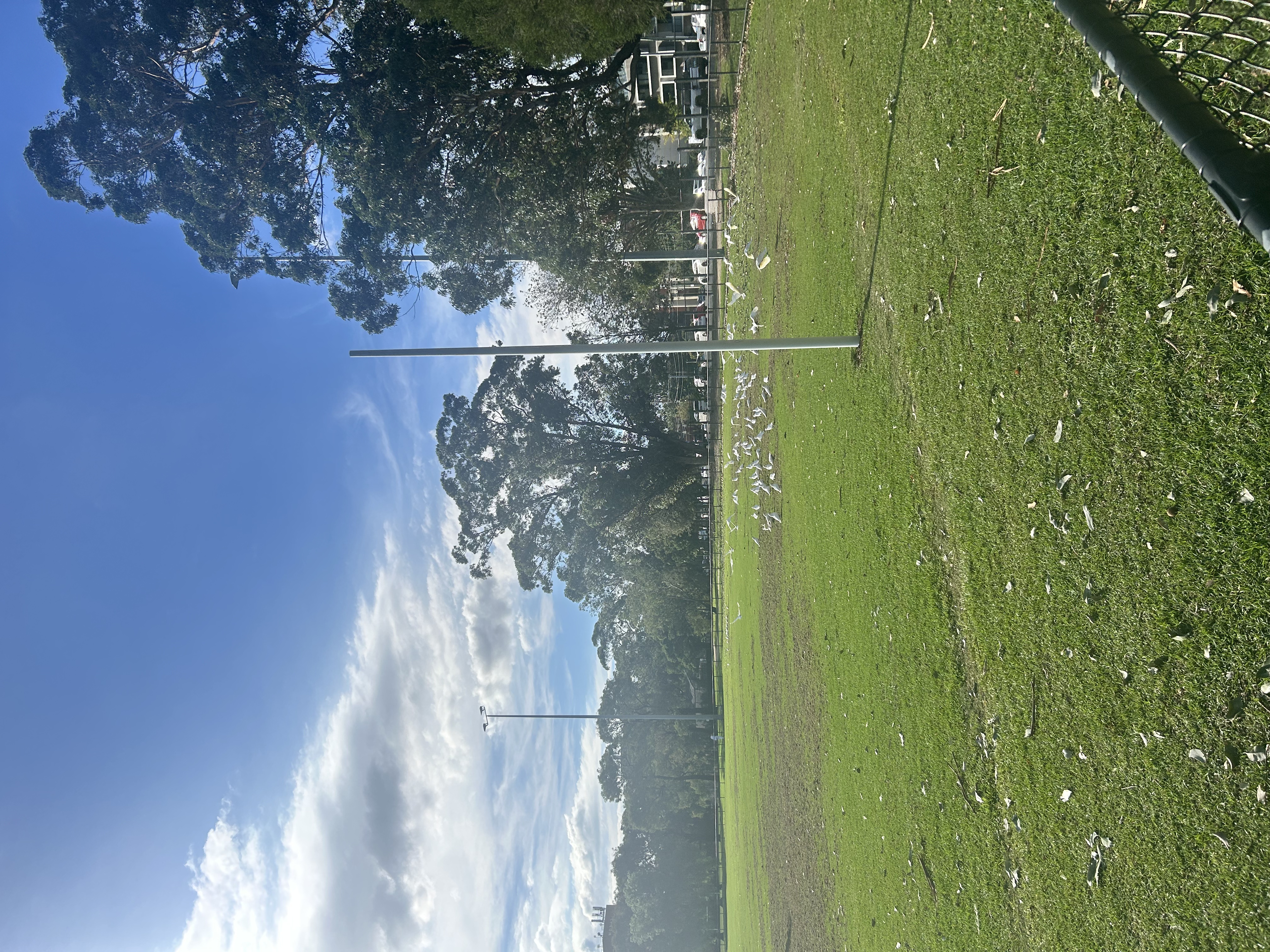 image-21