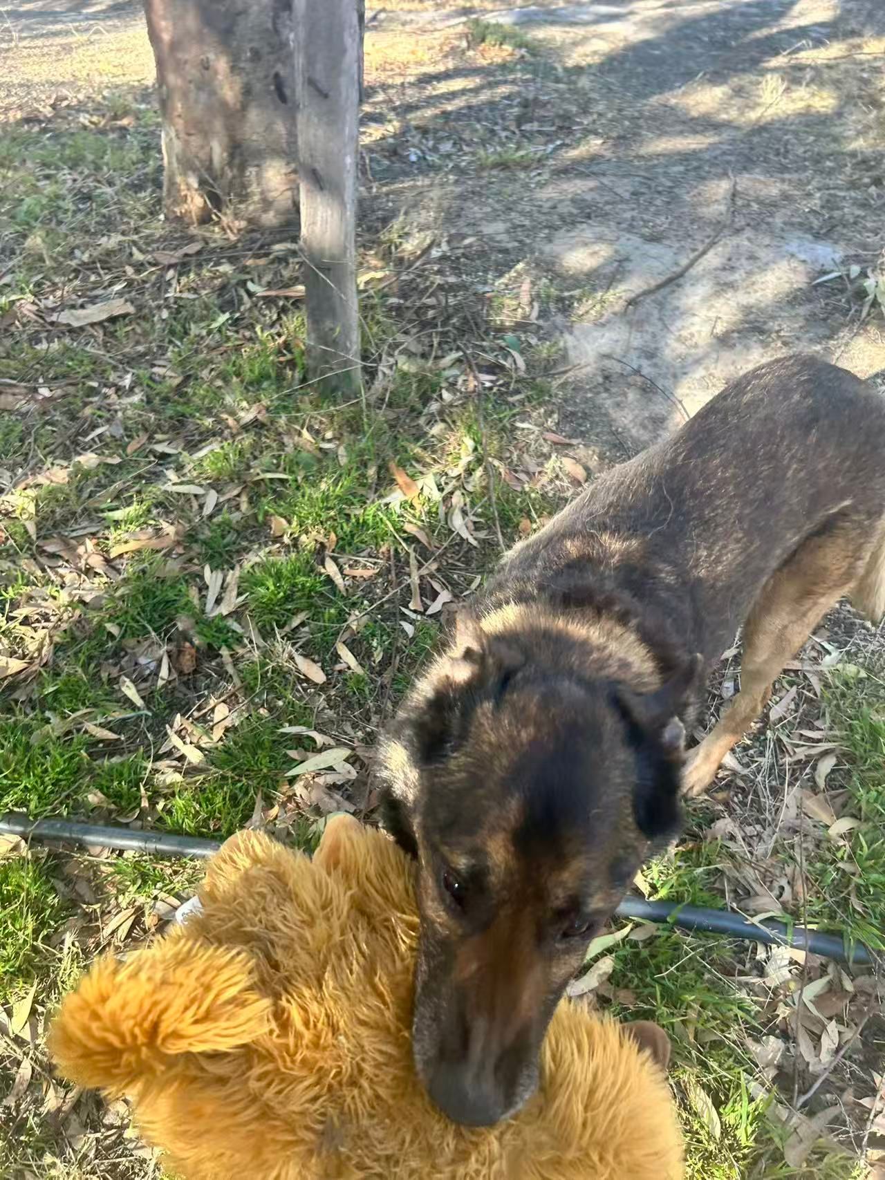 image-6
