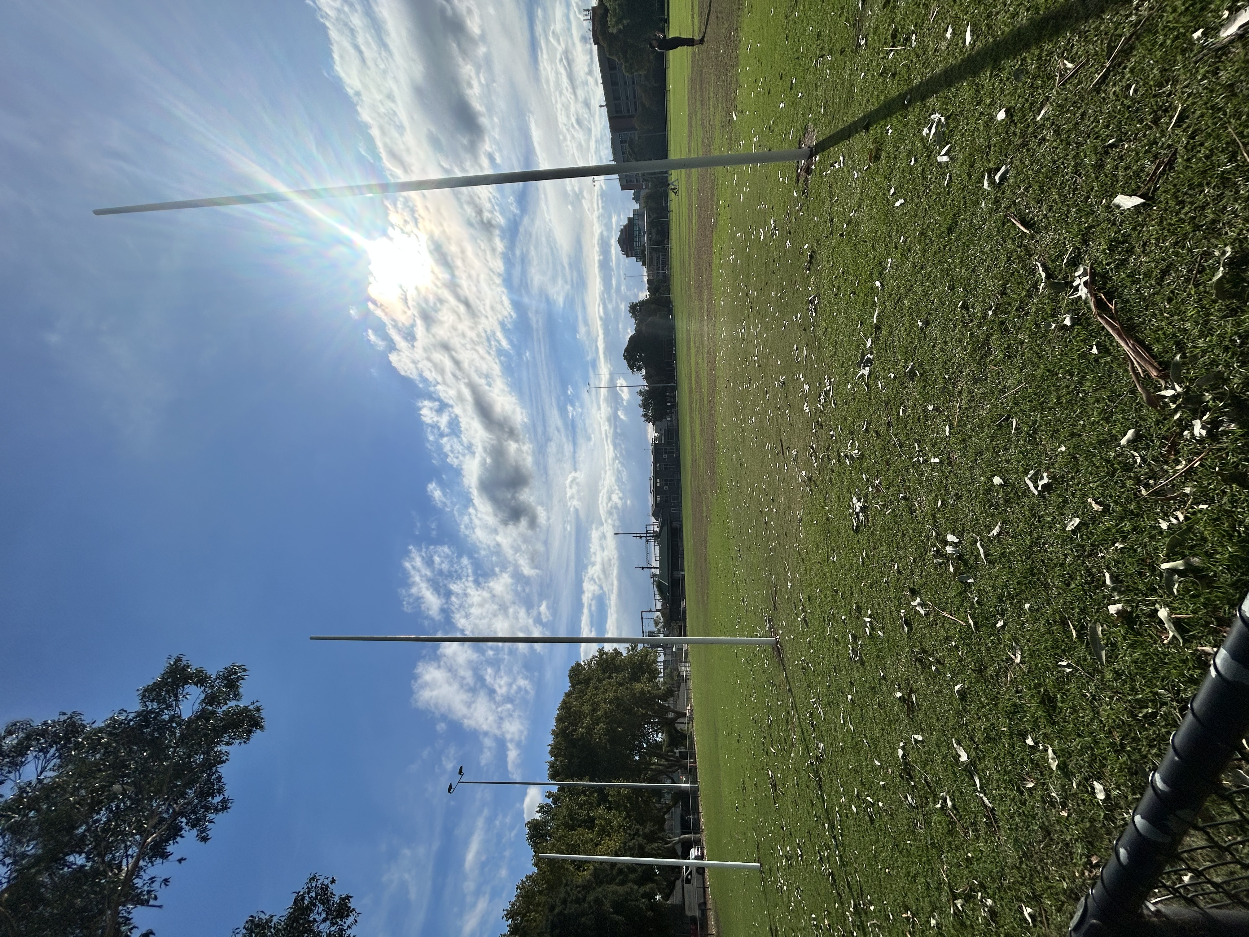 image-20