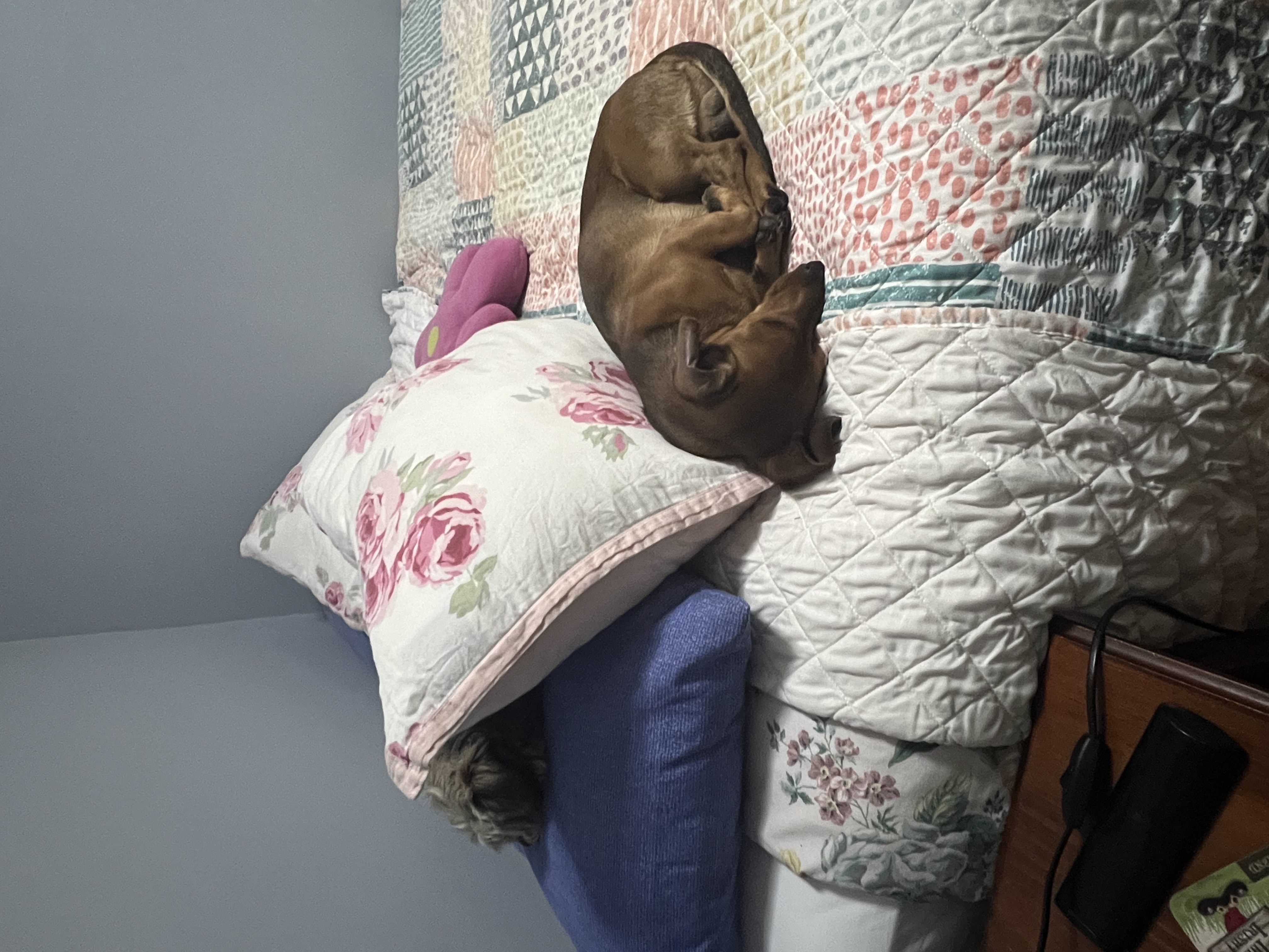 image-11