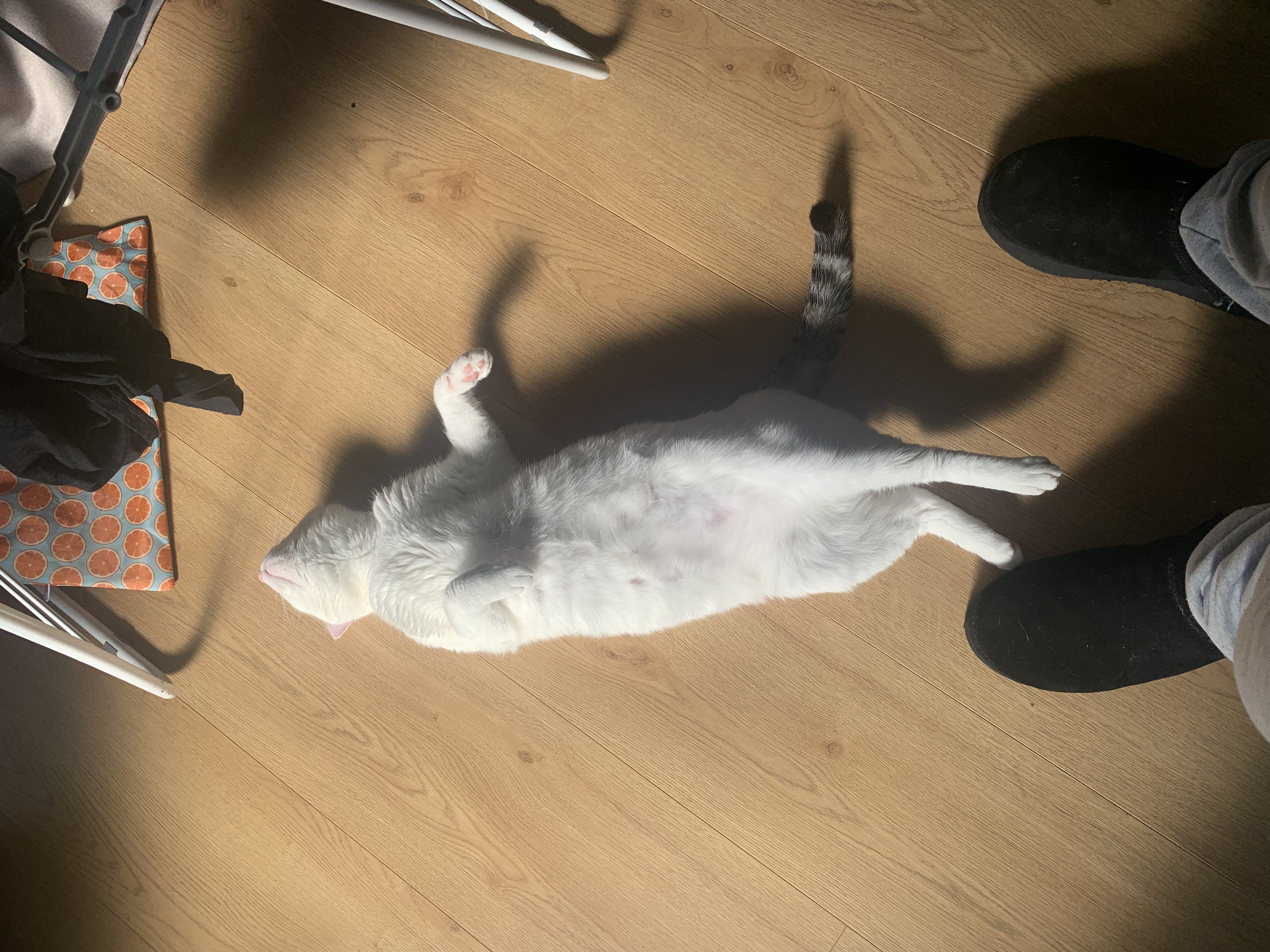 image-8