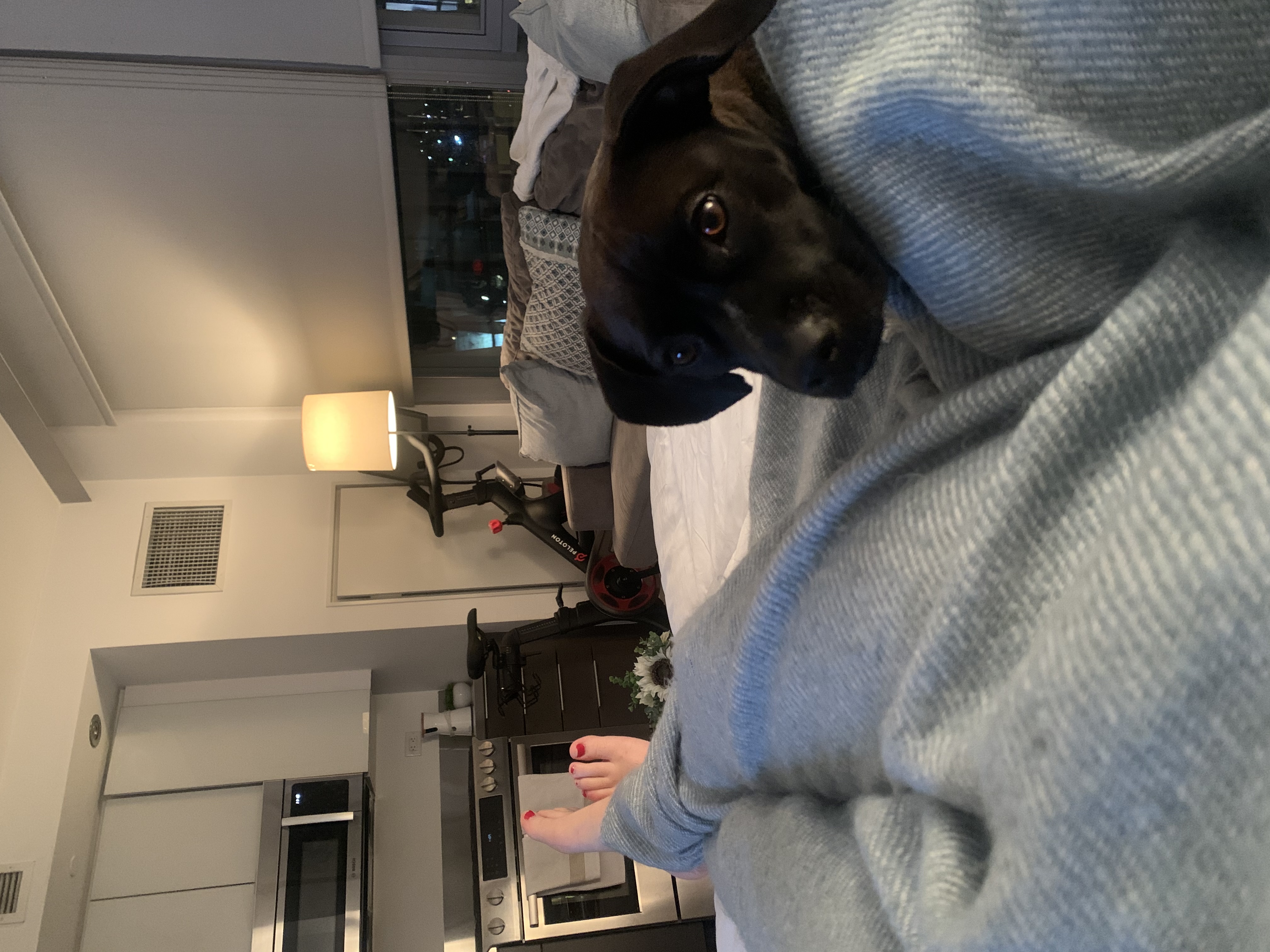 image-6