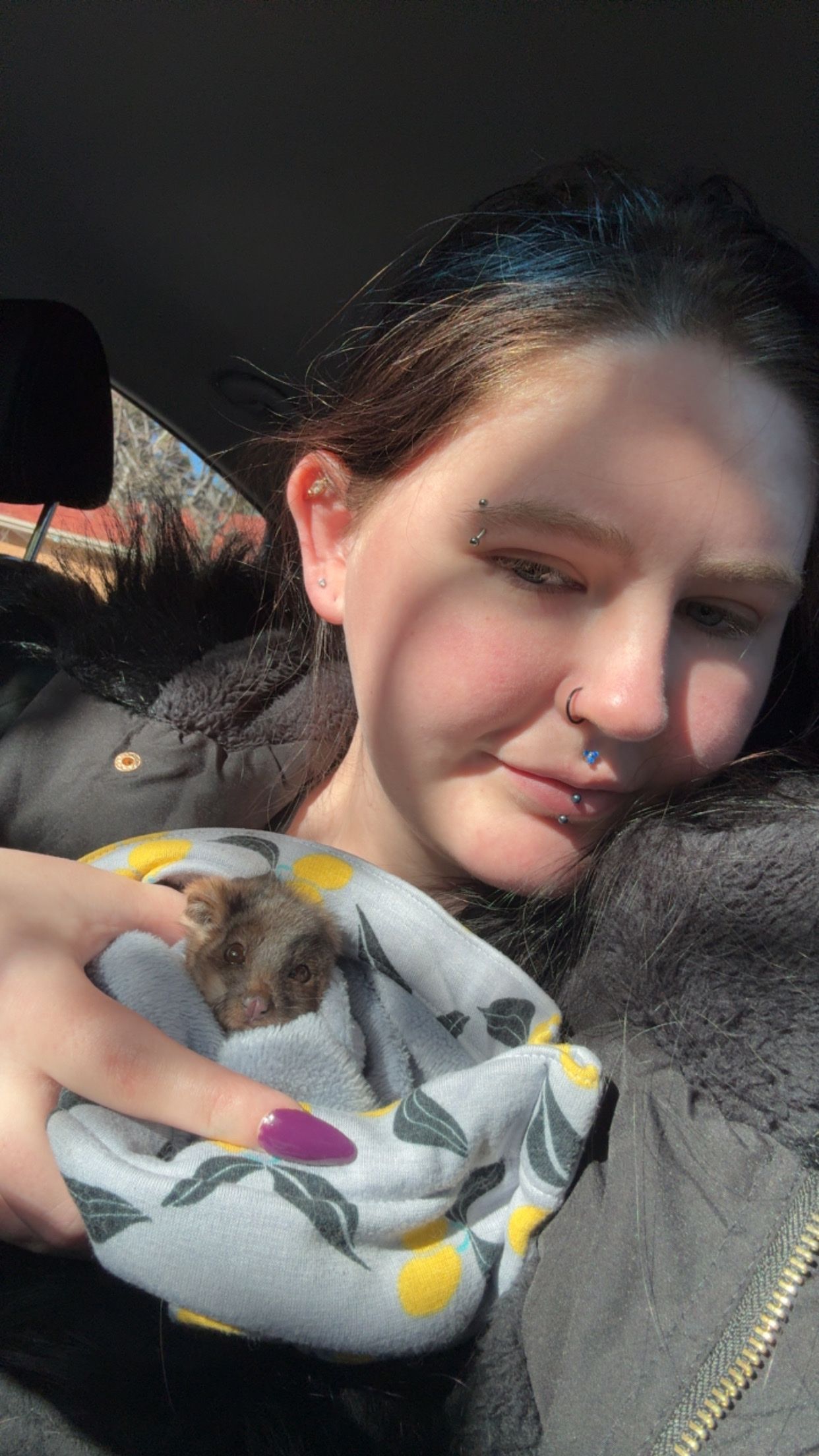 image-8