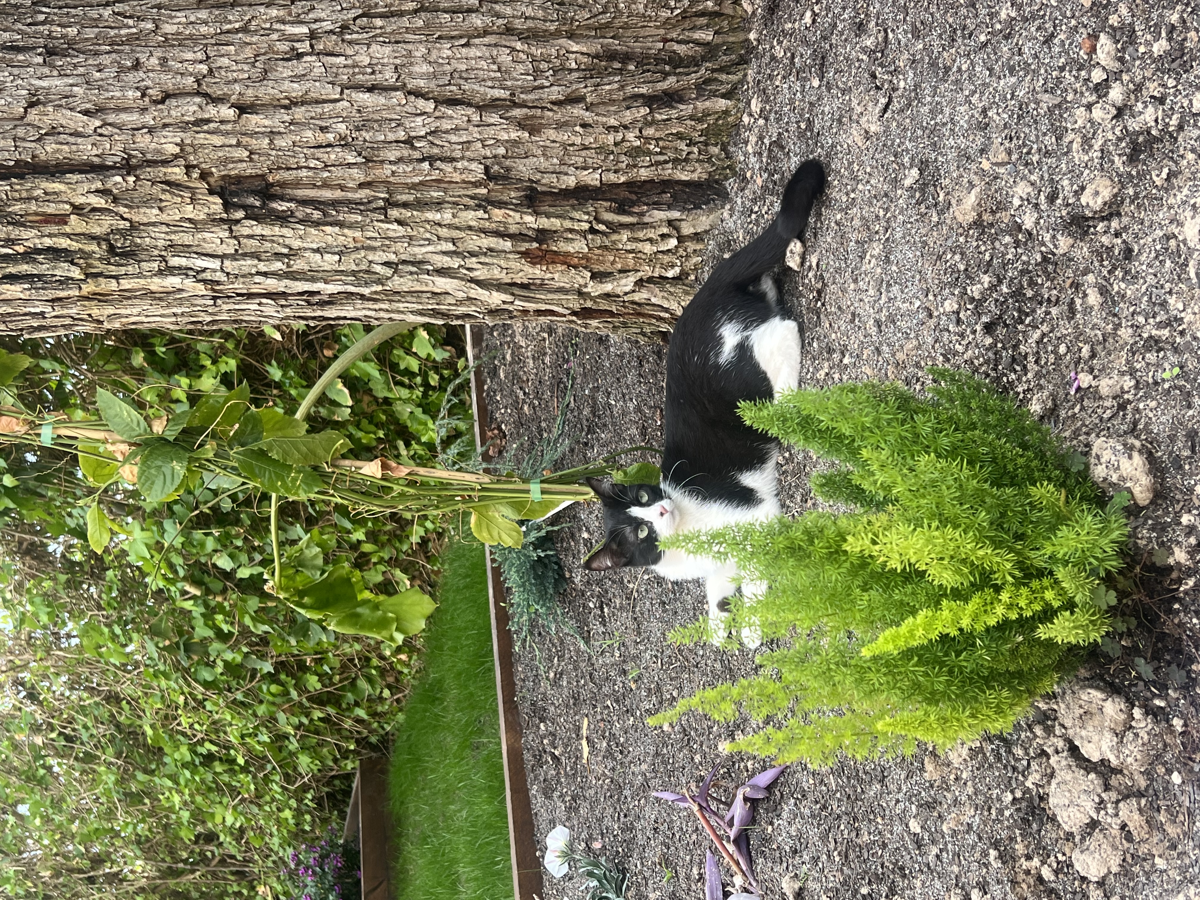 image-10