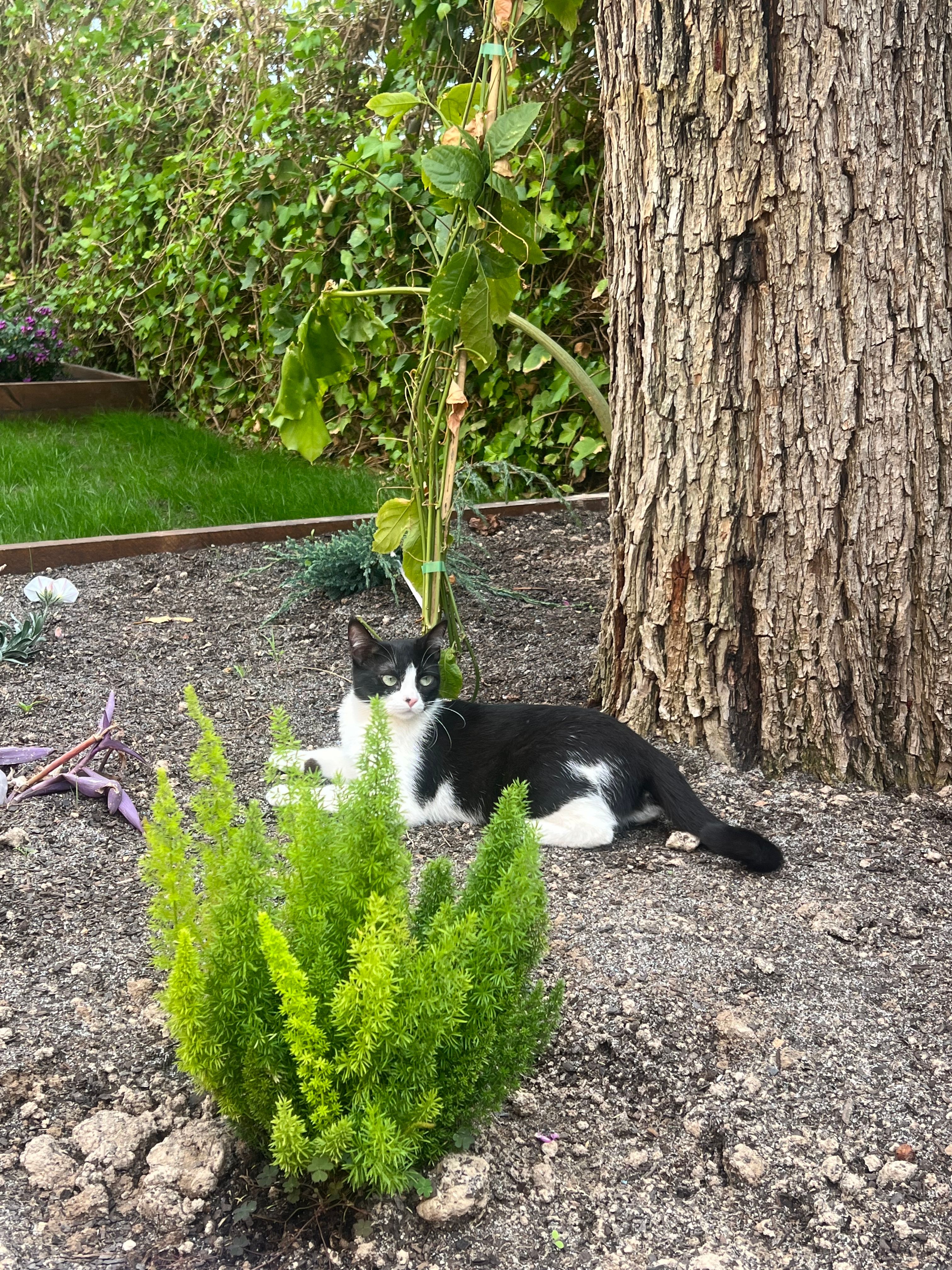 image-10
