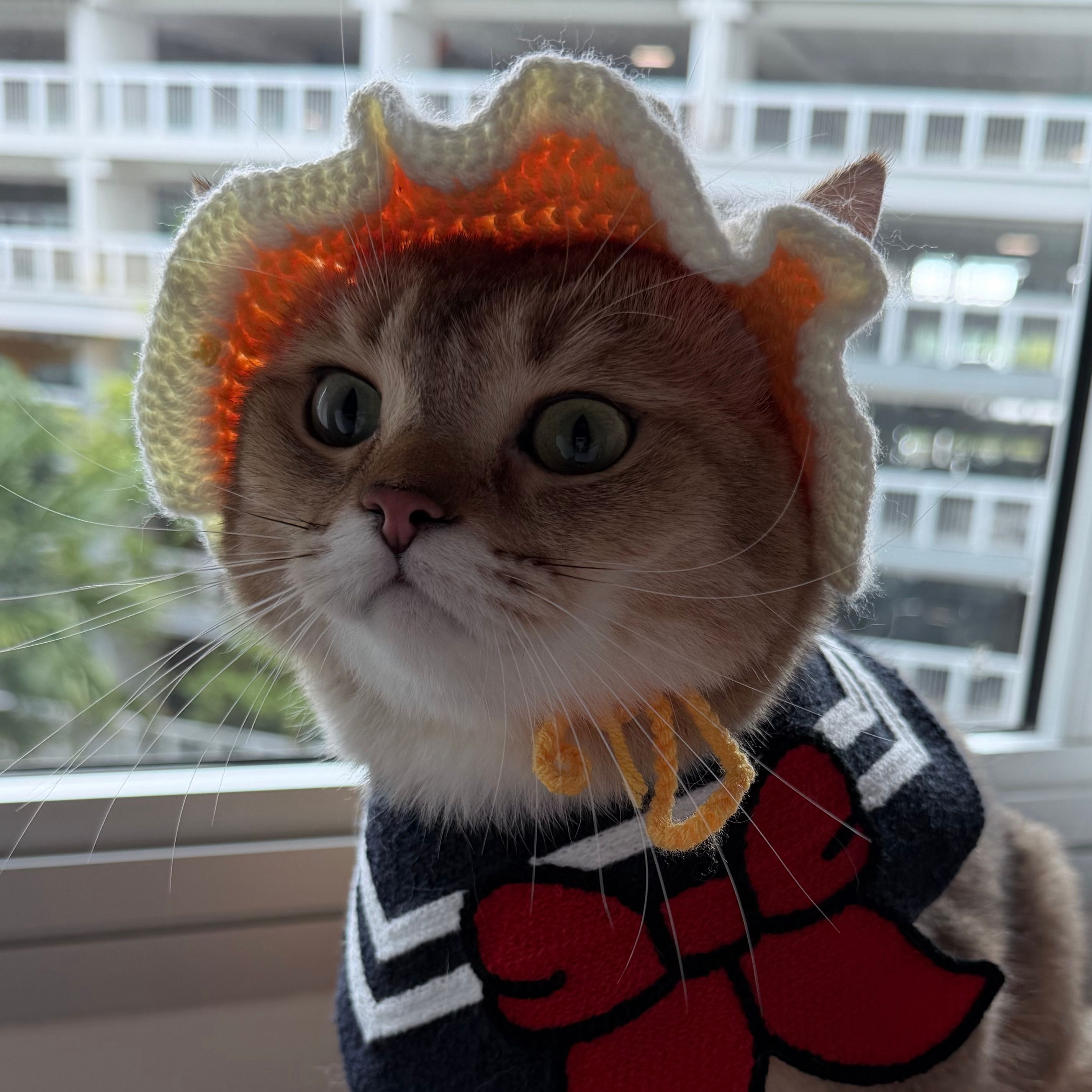 Coco