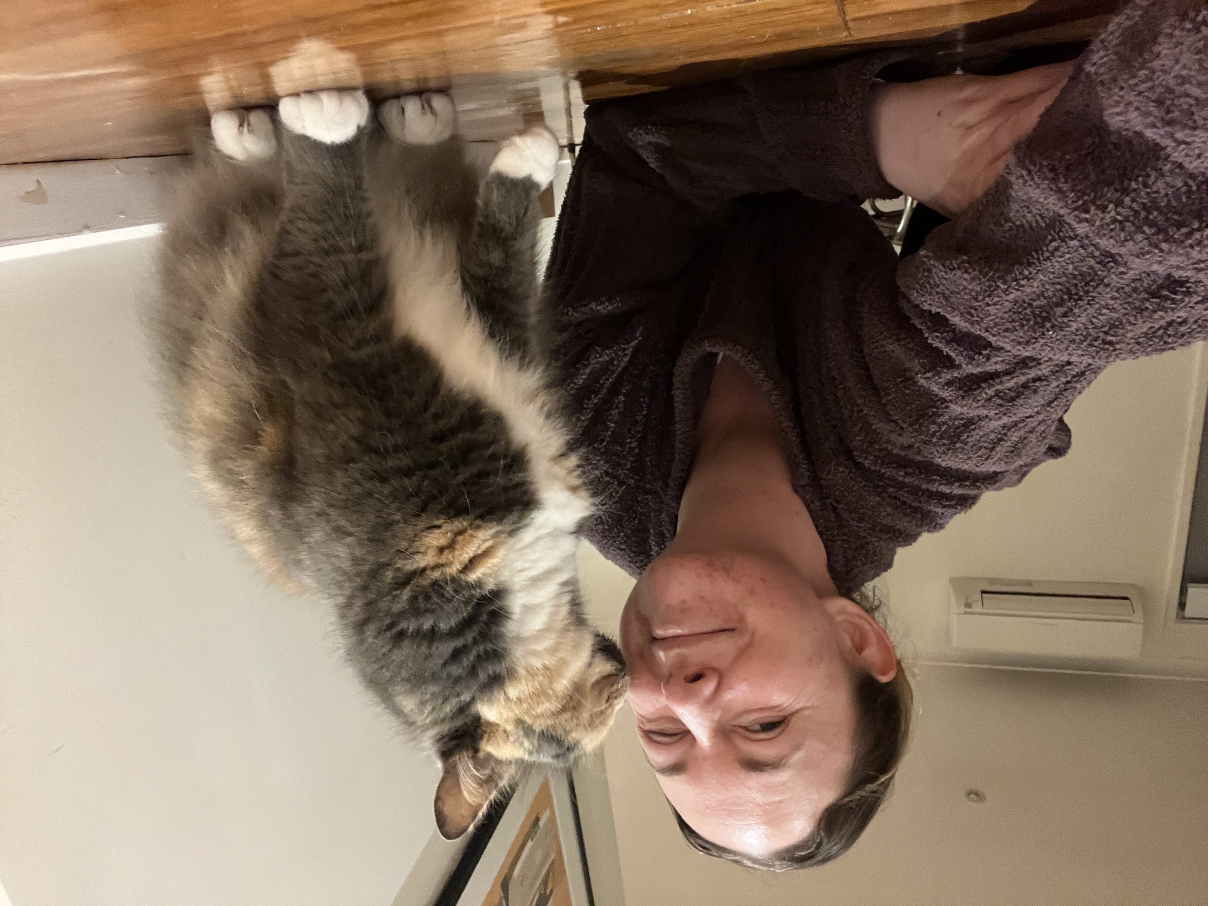 image-7