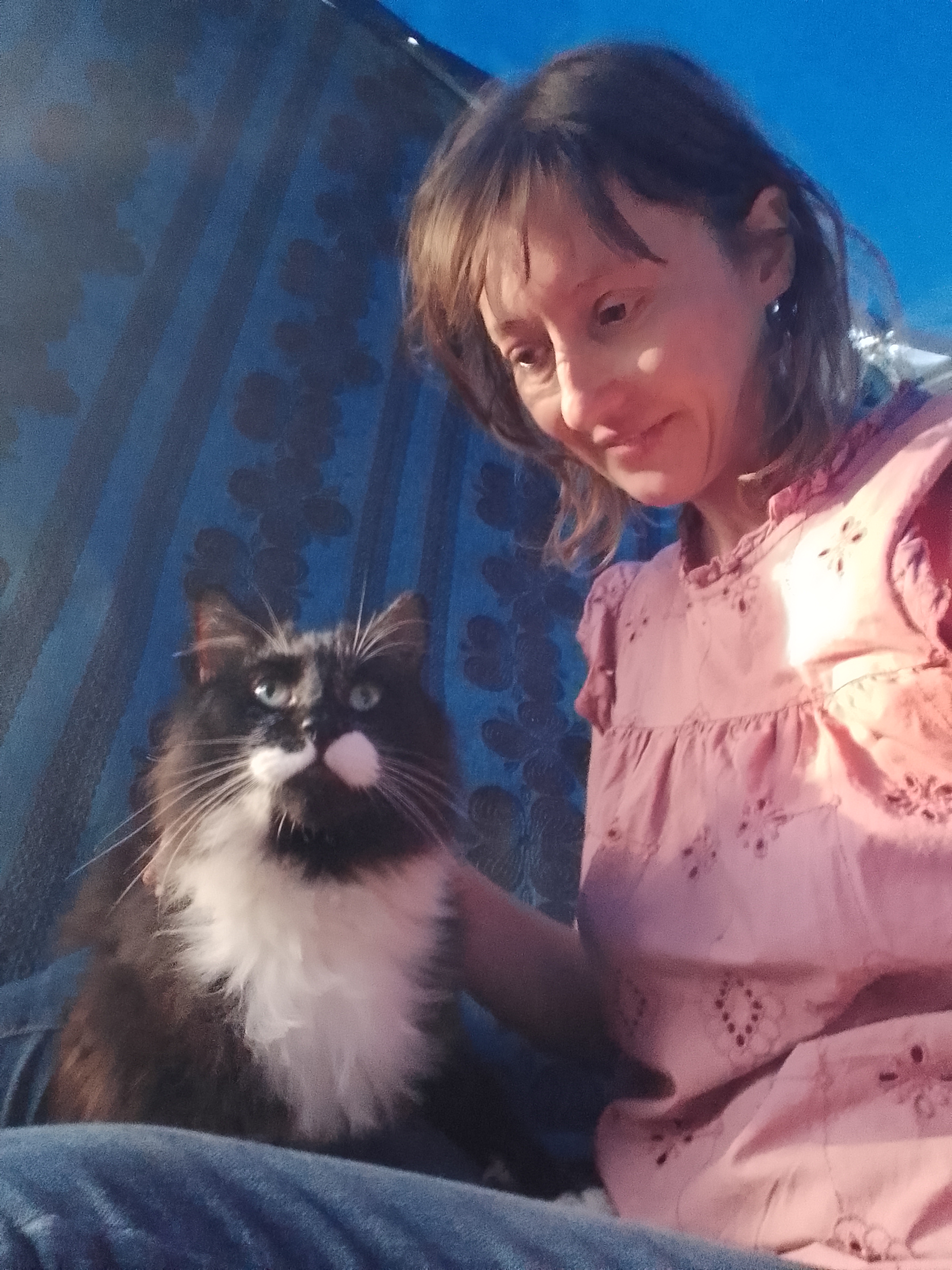 image-5