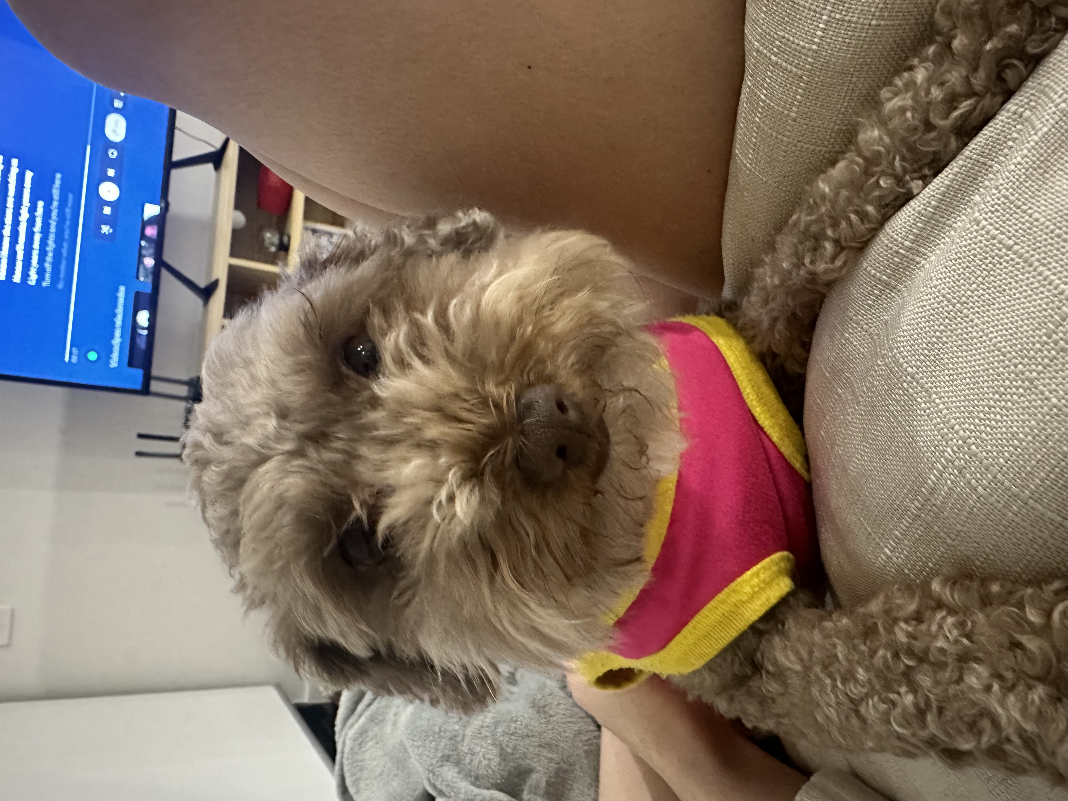 image-9