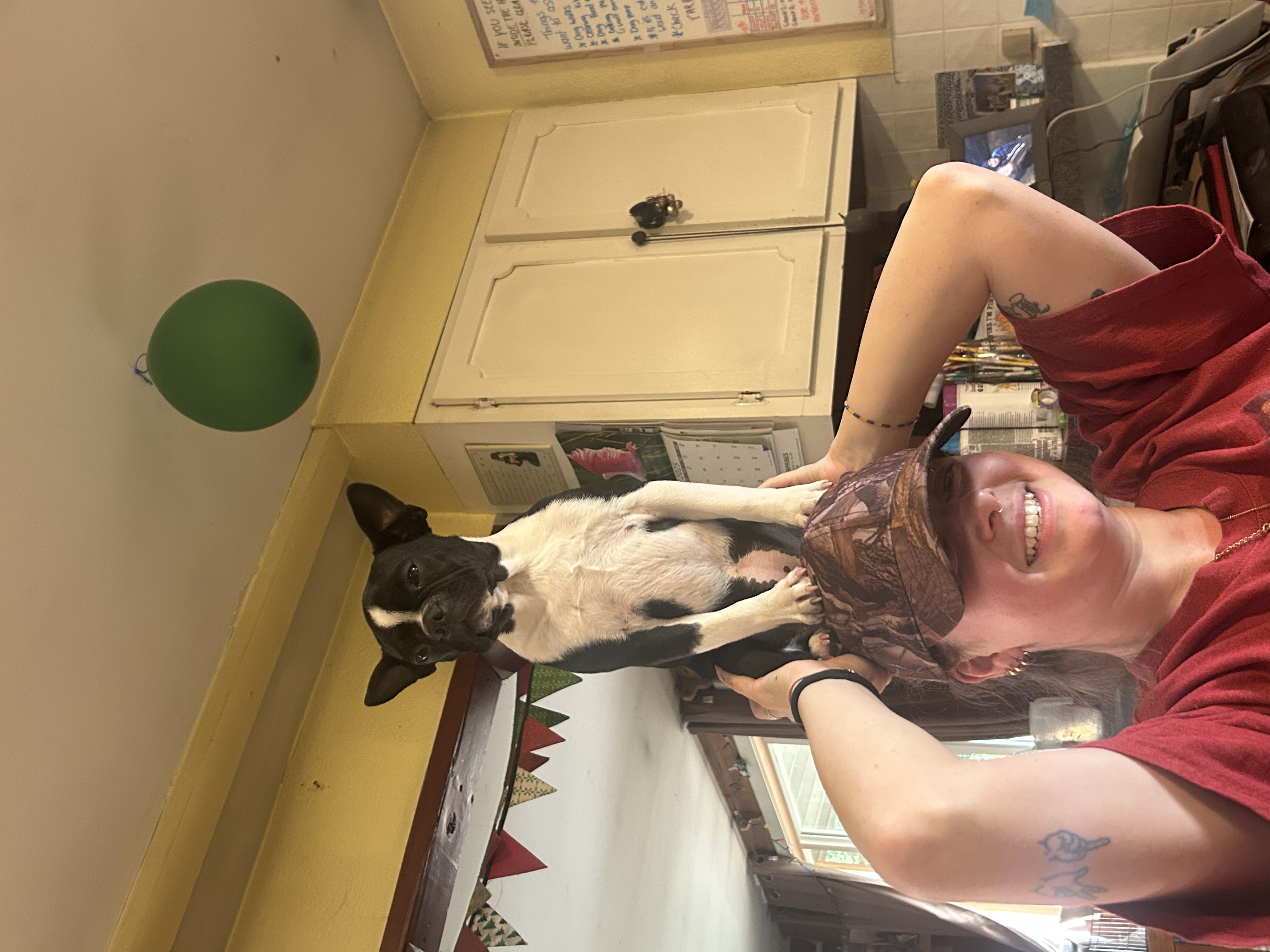 image-6