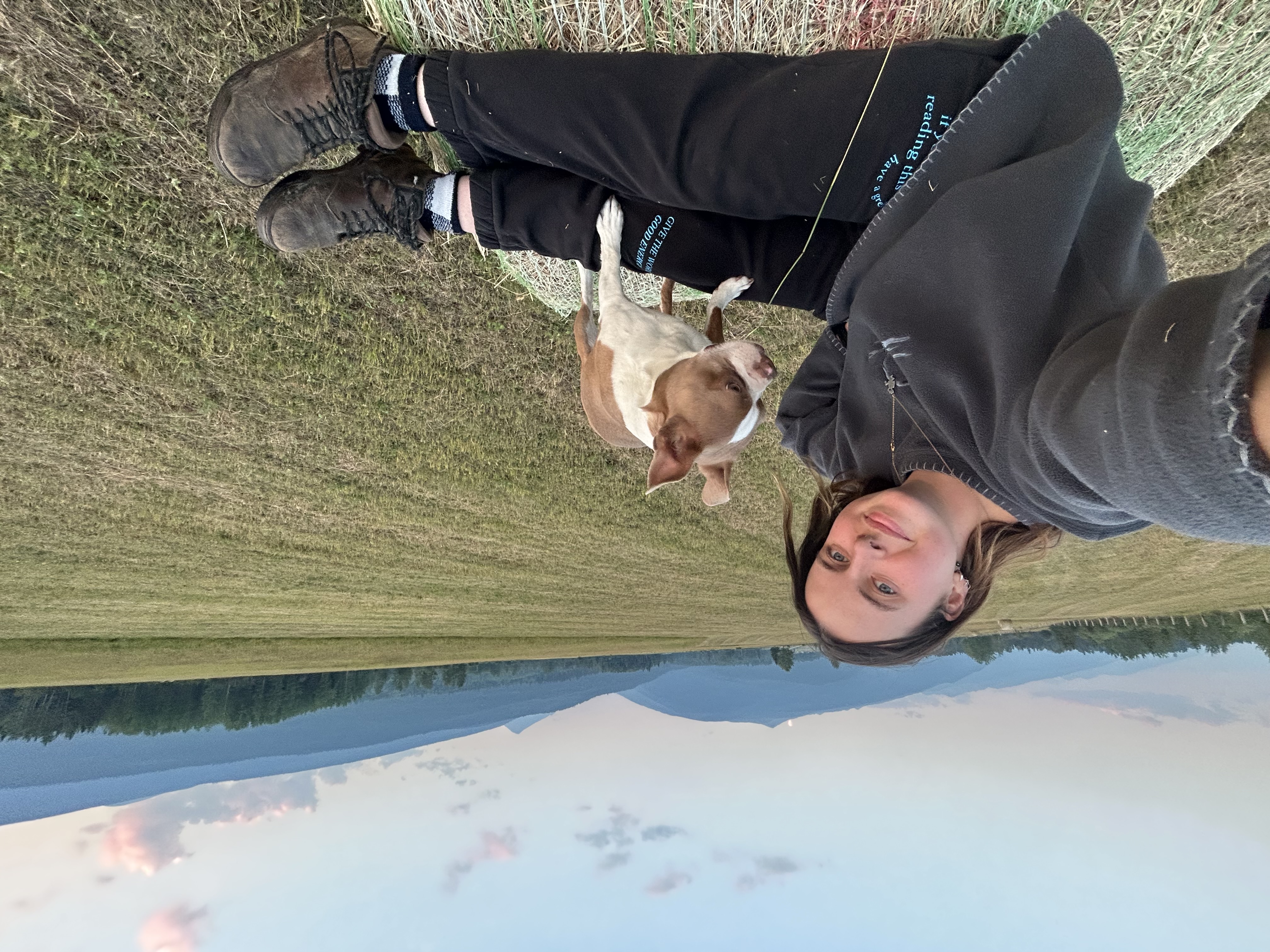 image-7