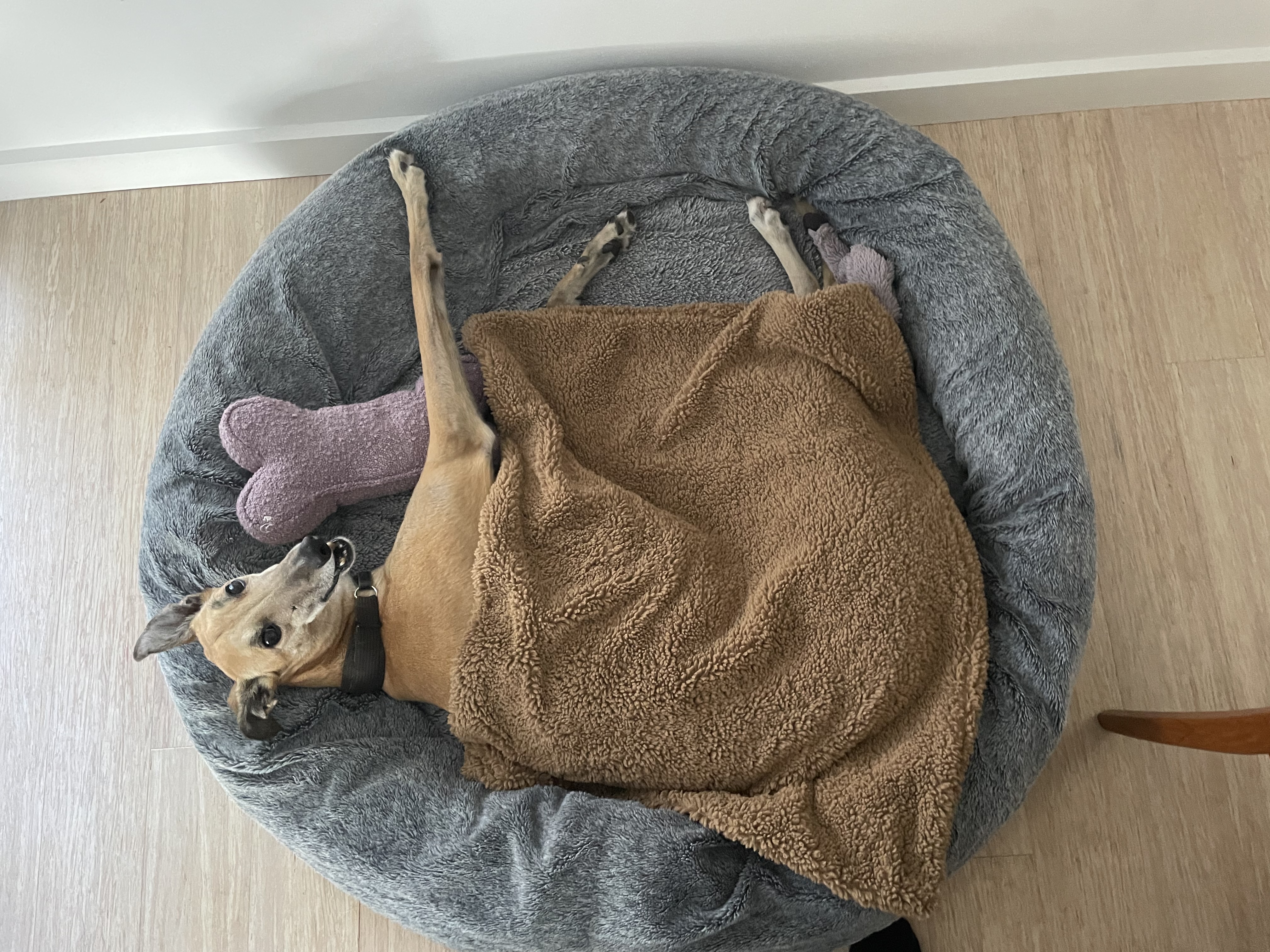 image-7