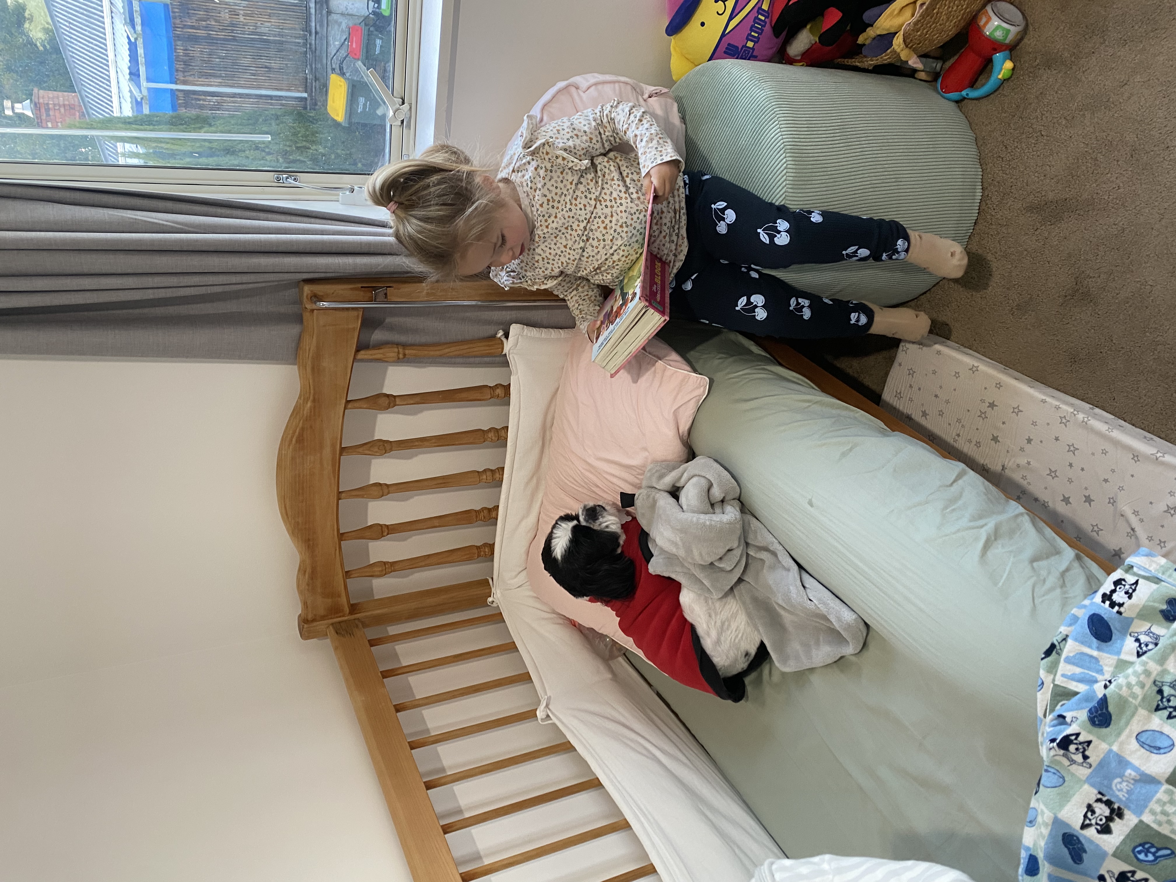 image-20
