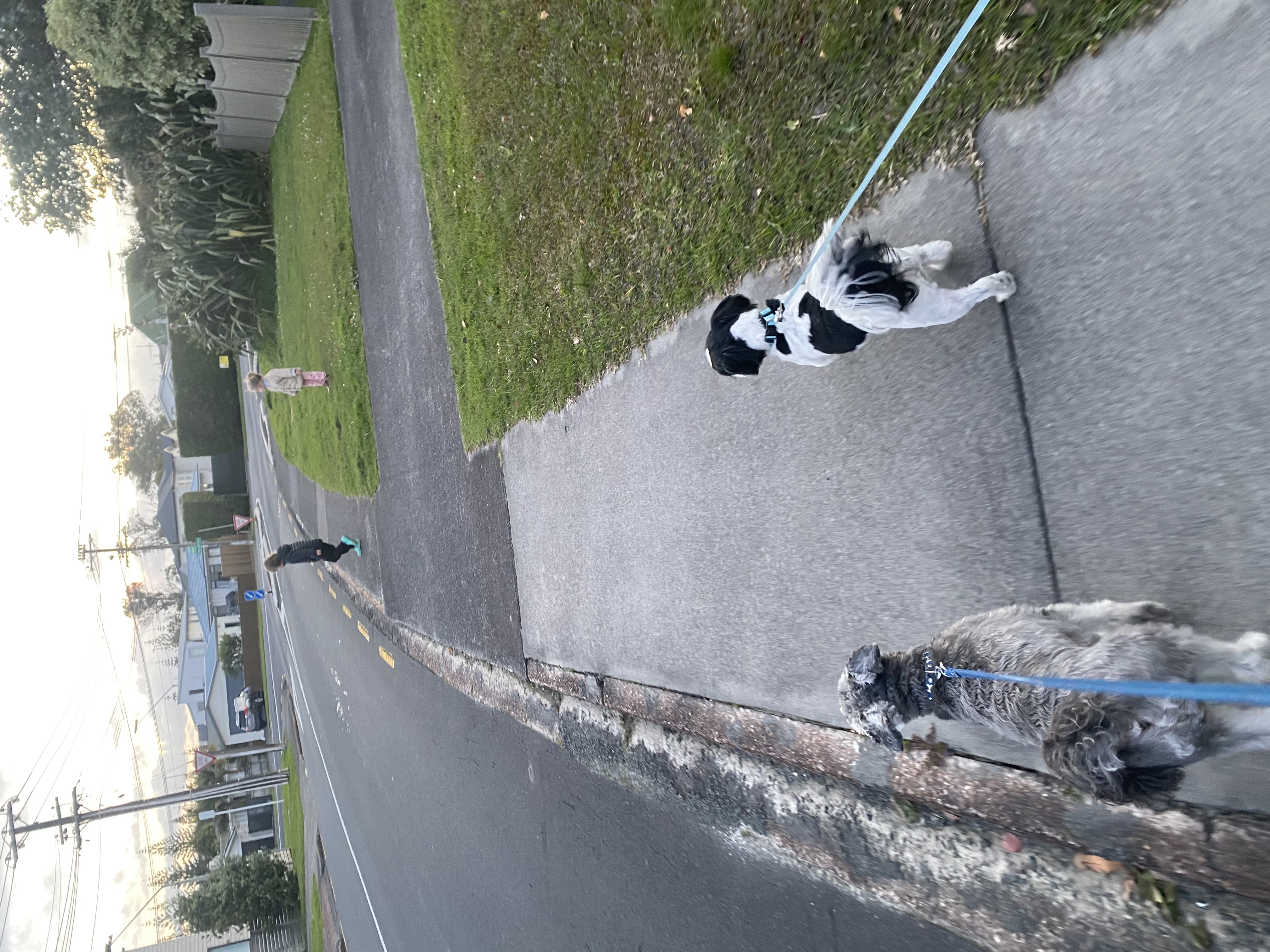image-18