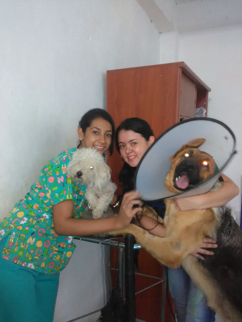image-5