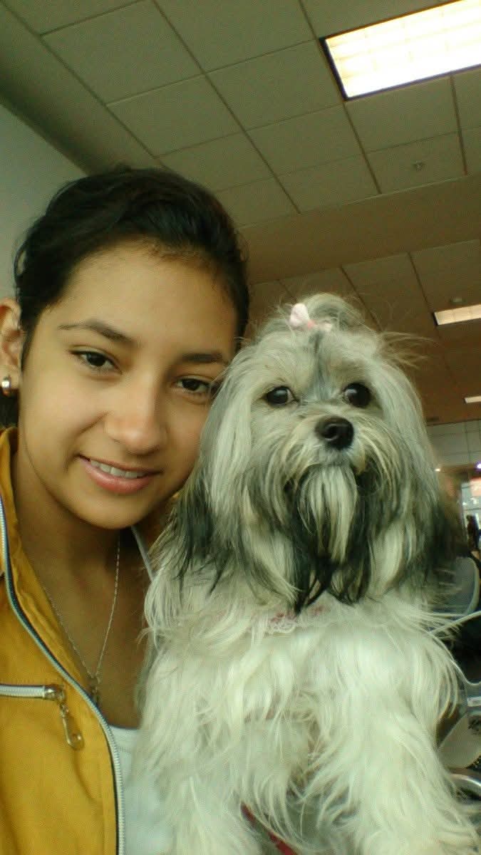 image-8