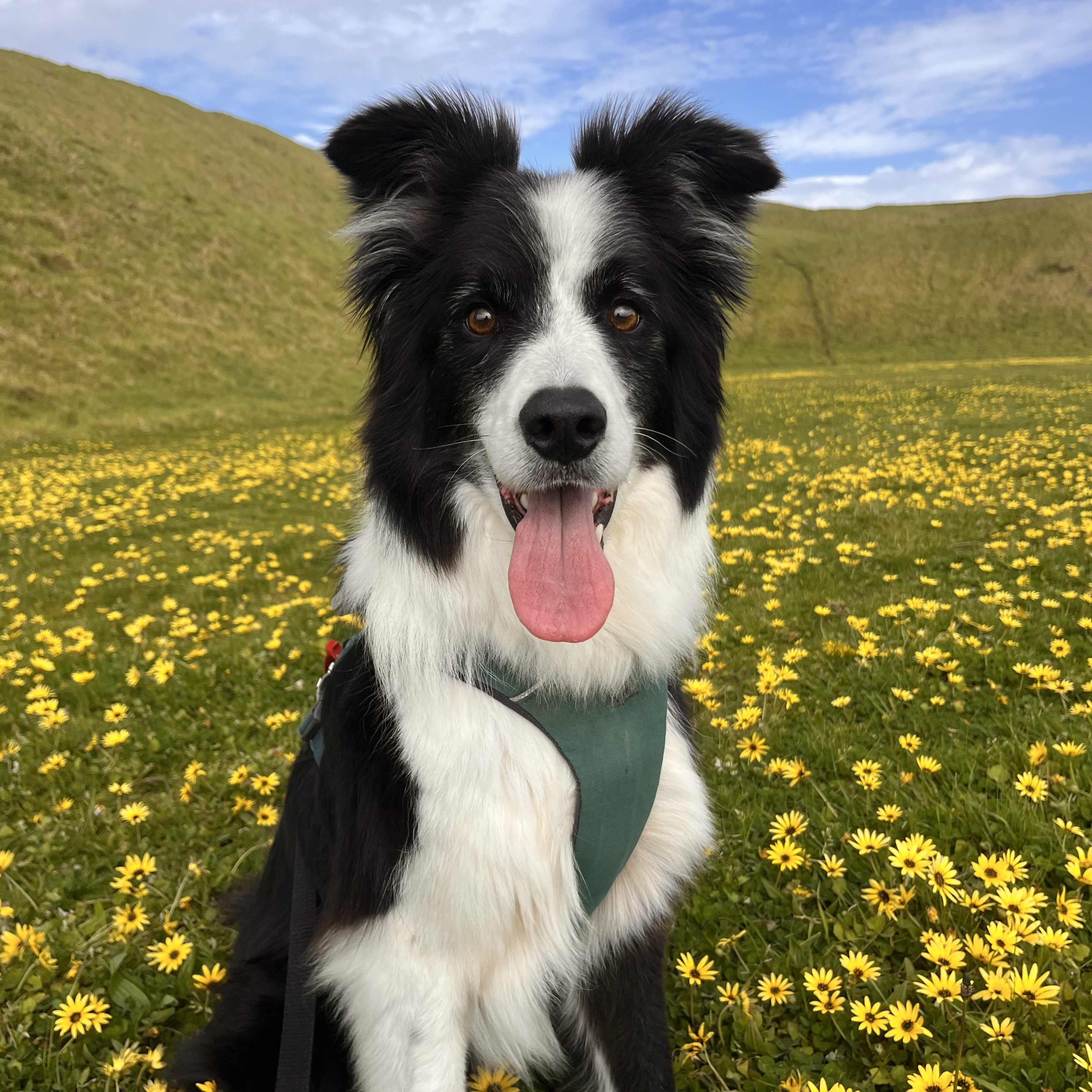 Max