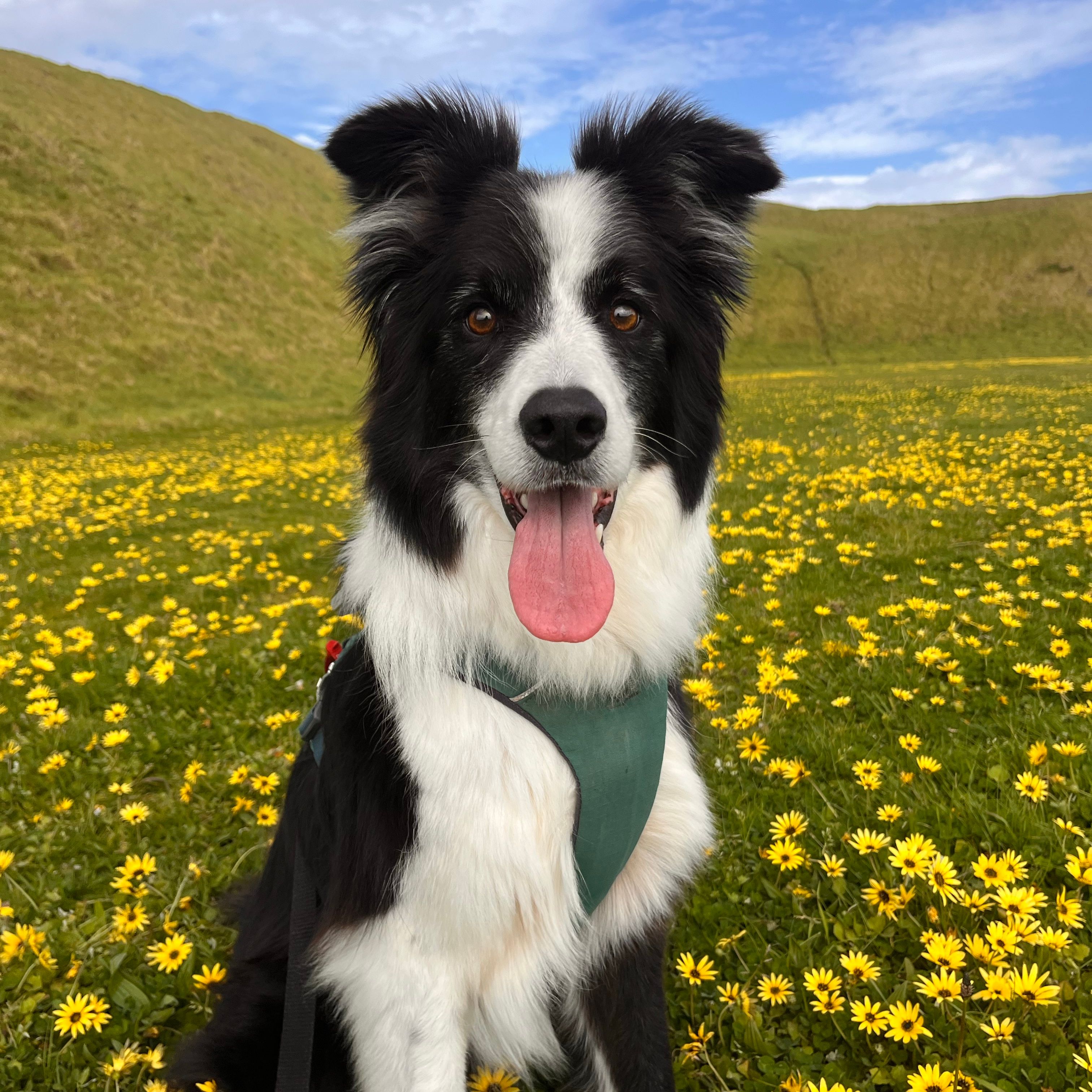 Max