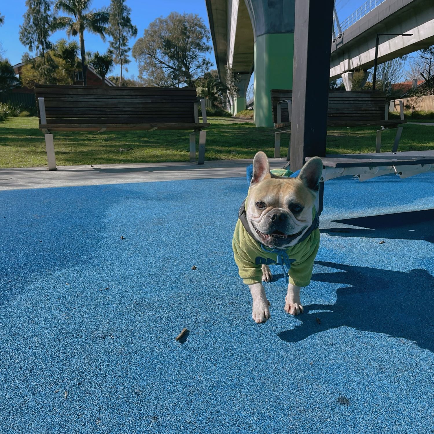 Dafu