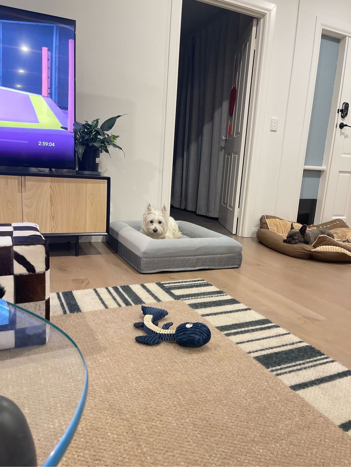 image-9