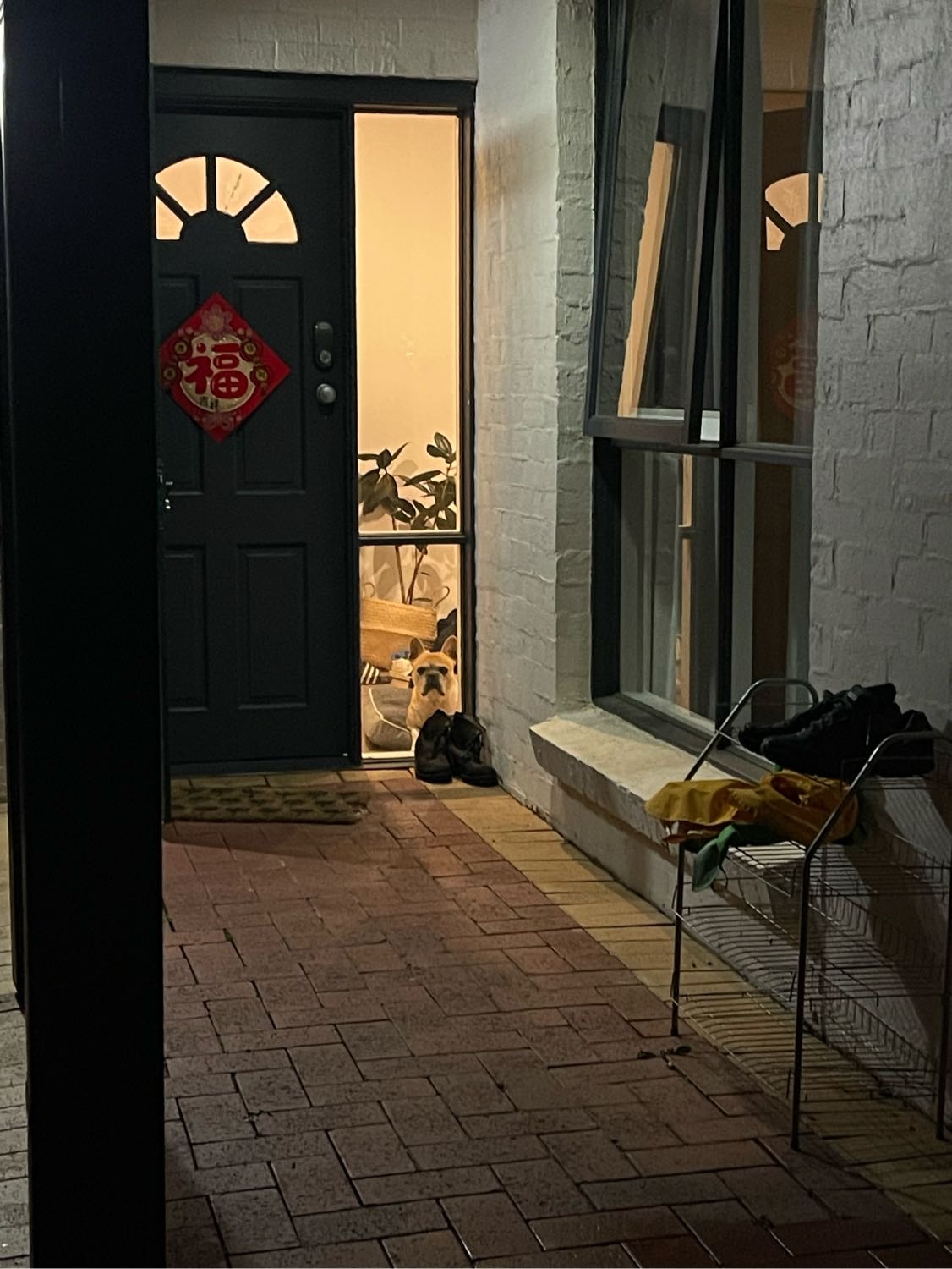 image-6