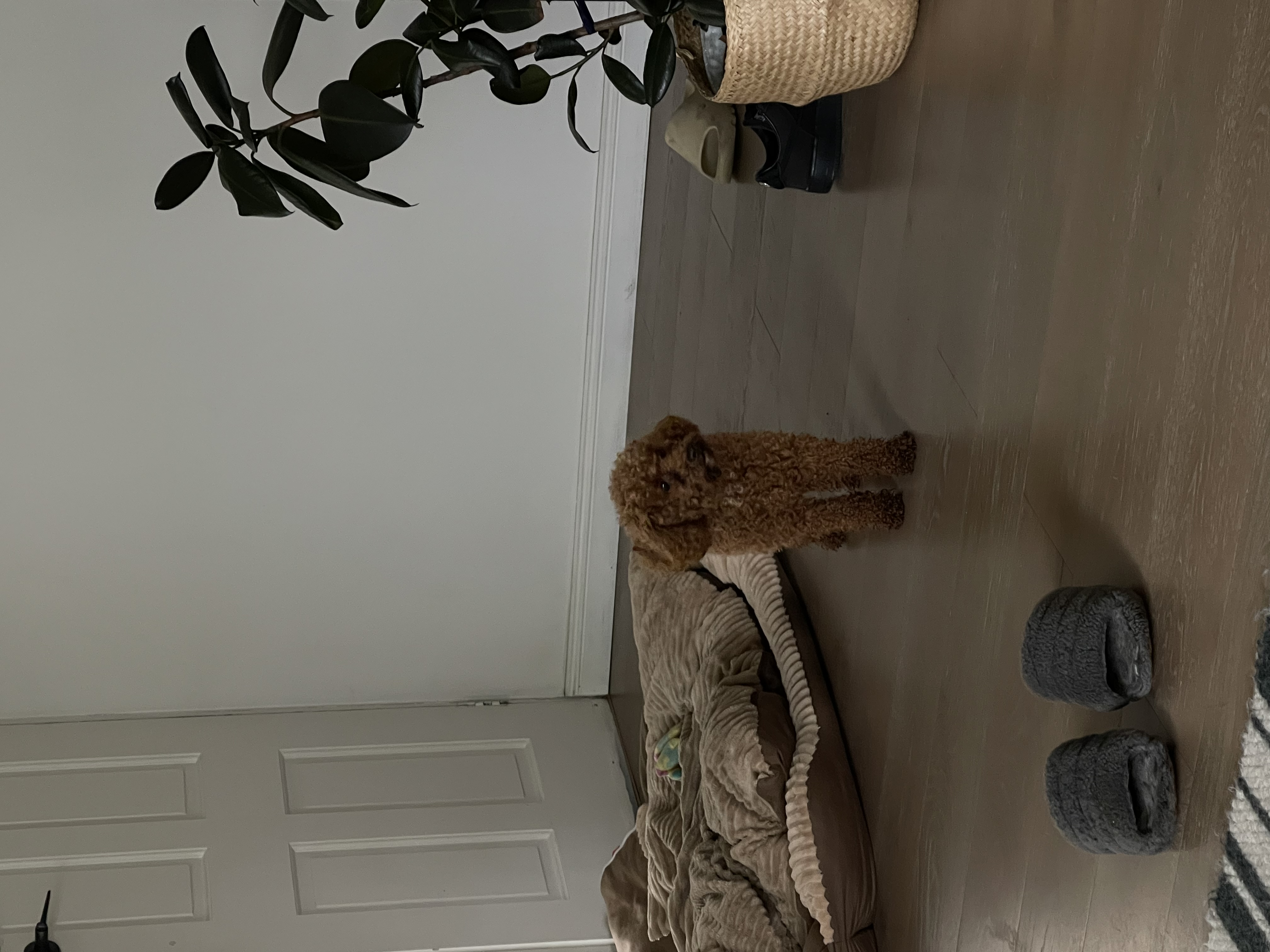 image-13