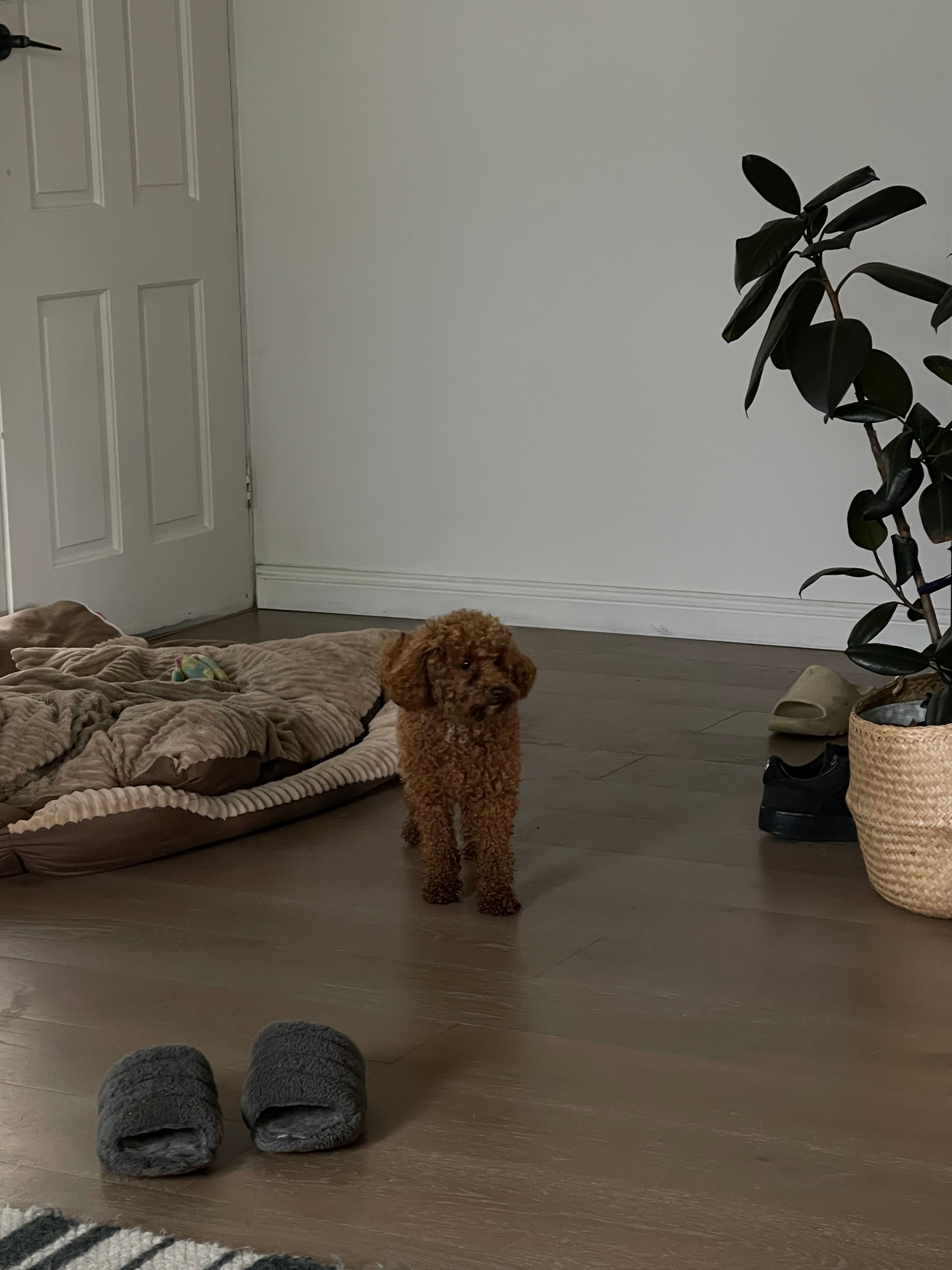 image-13