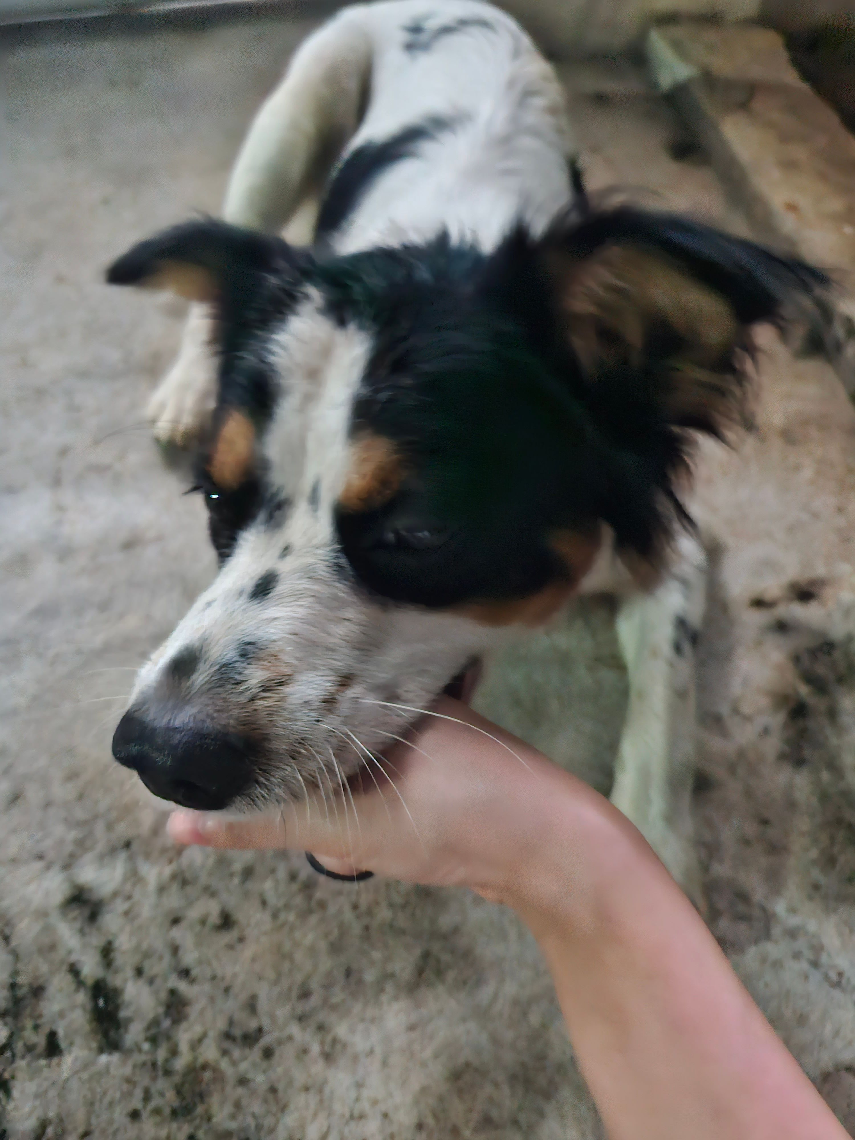 image-4