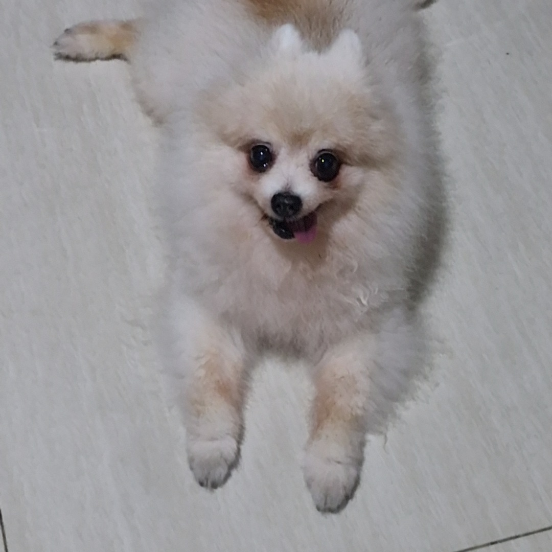 Bronson