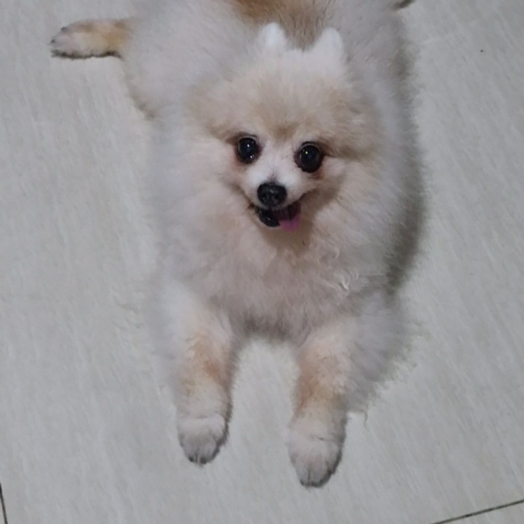 Bronson