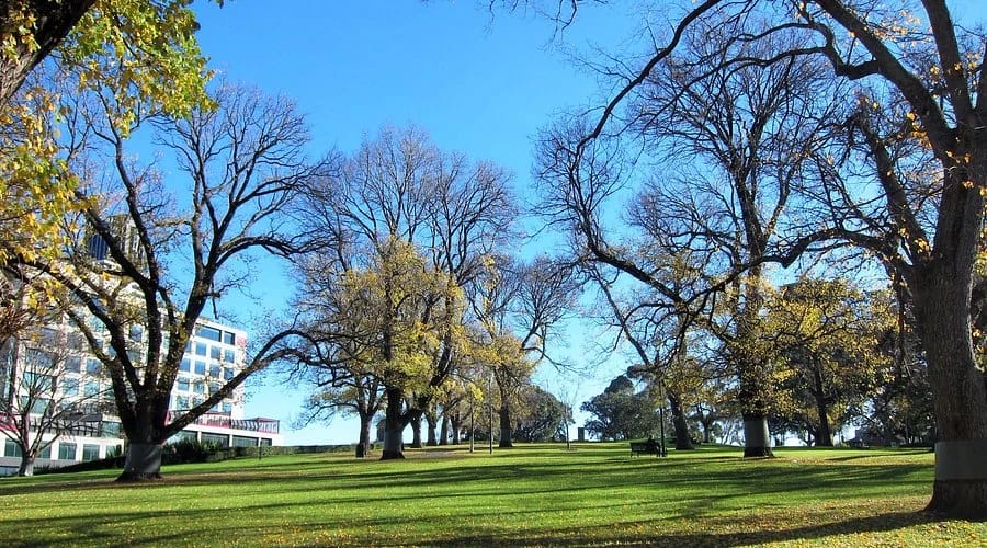 image-12