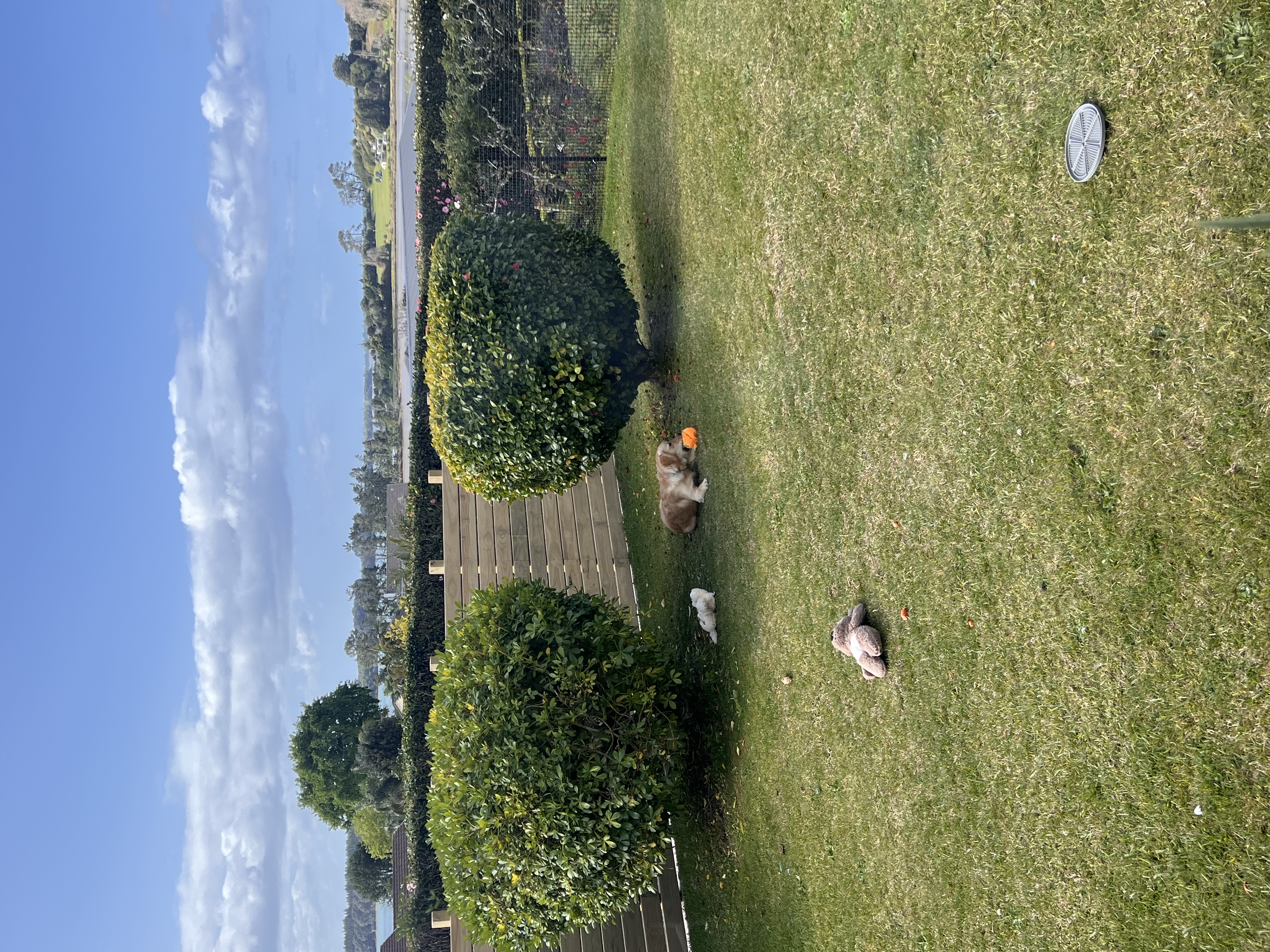 image-18