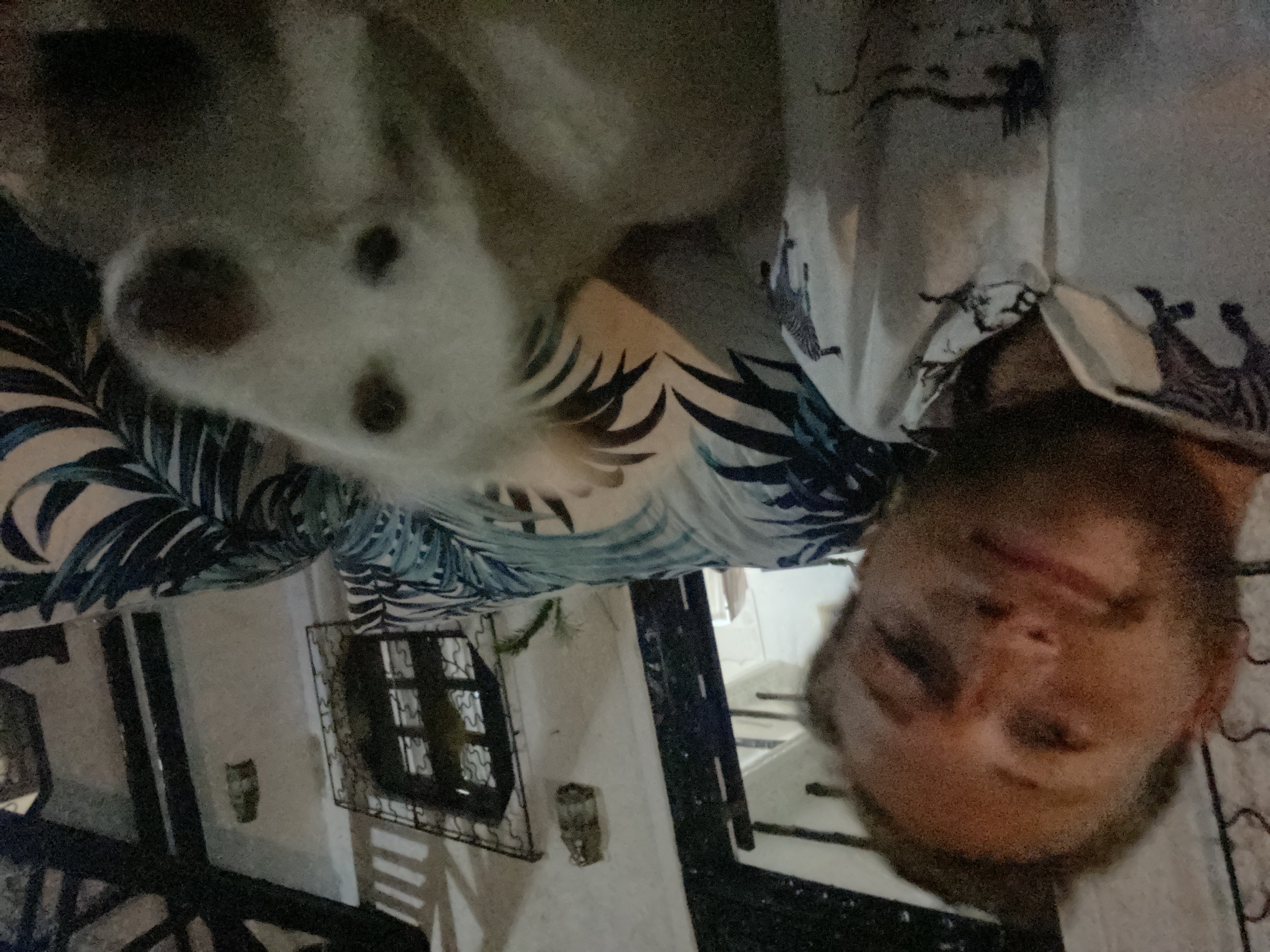 image-9