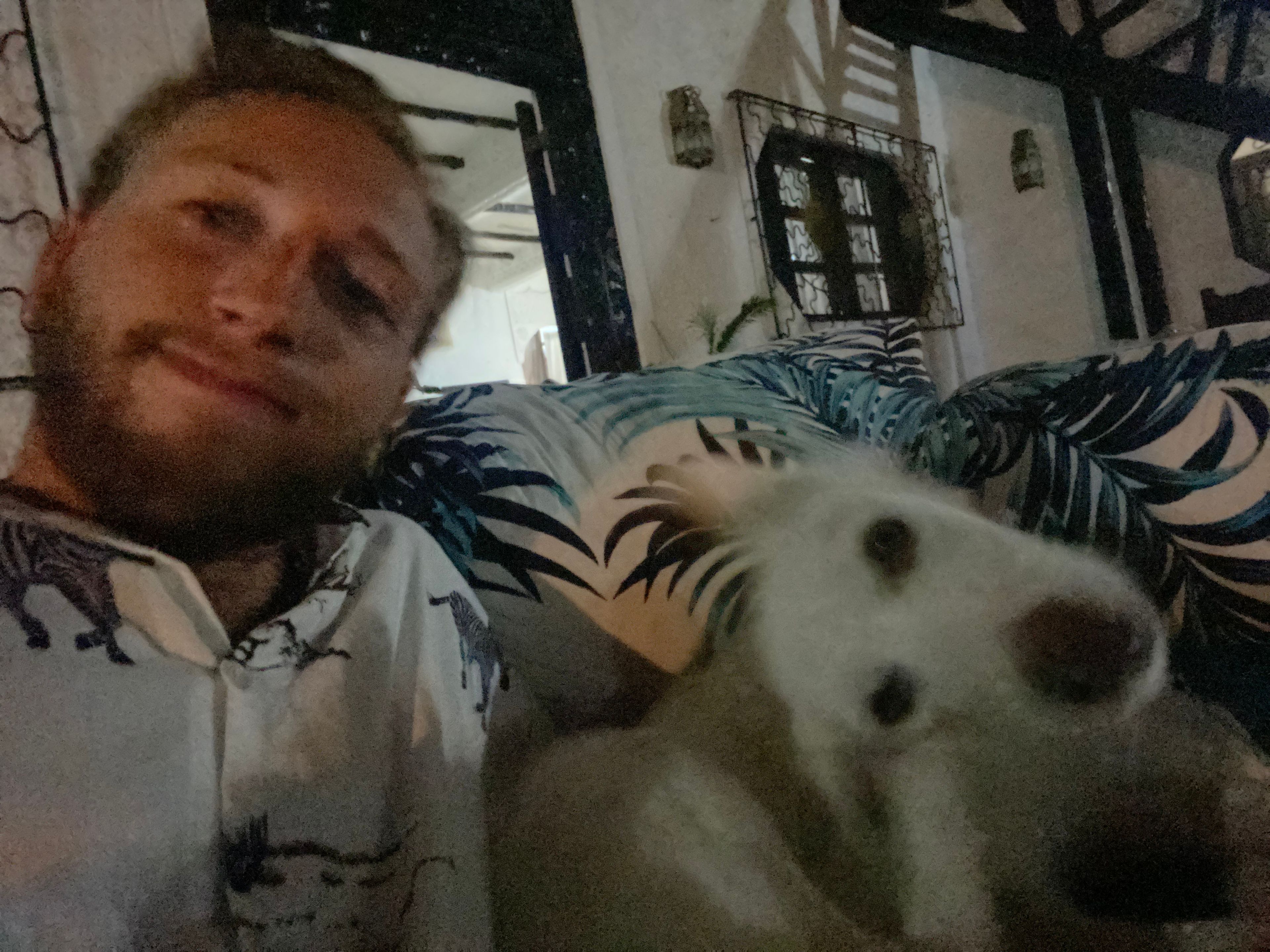 image-9