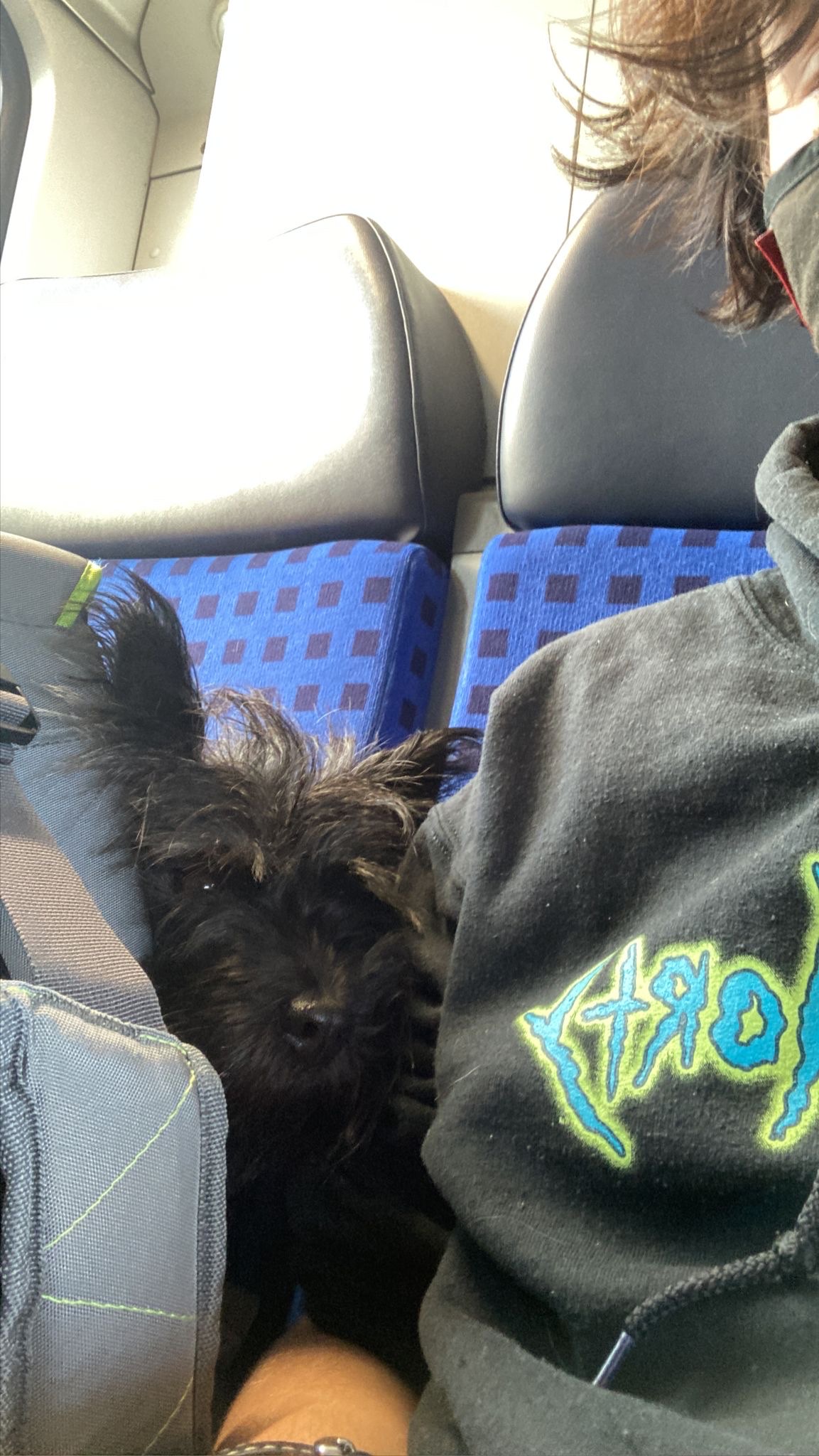 image-7