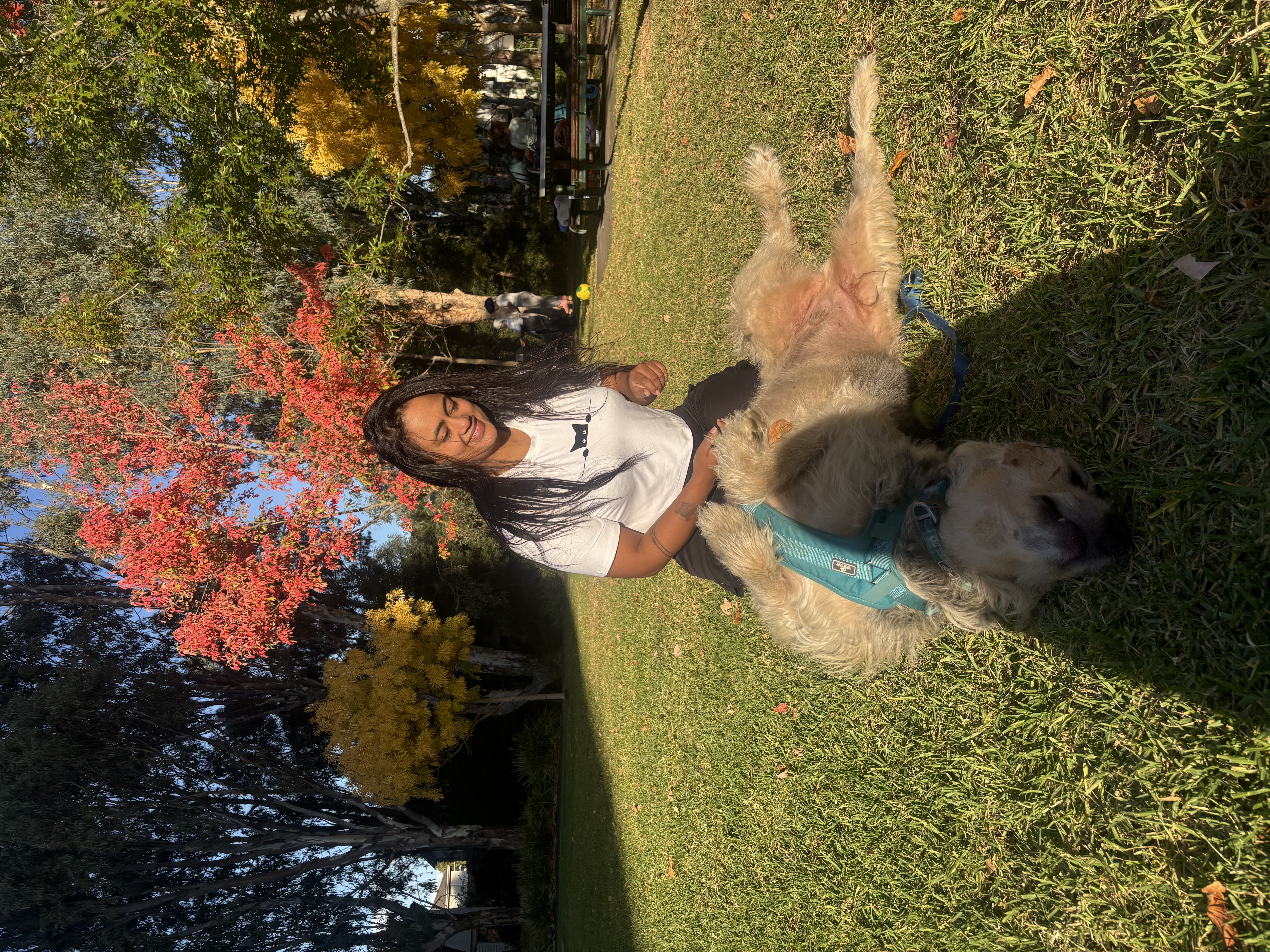 image-8
