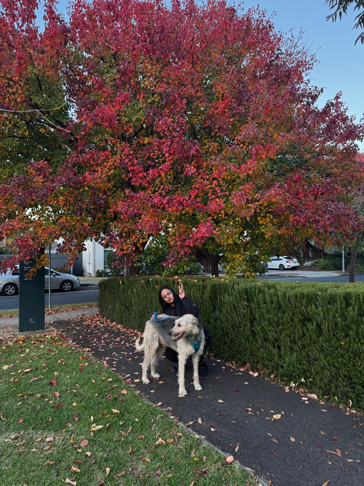 image-13