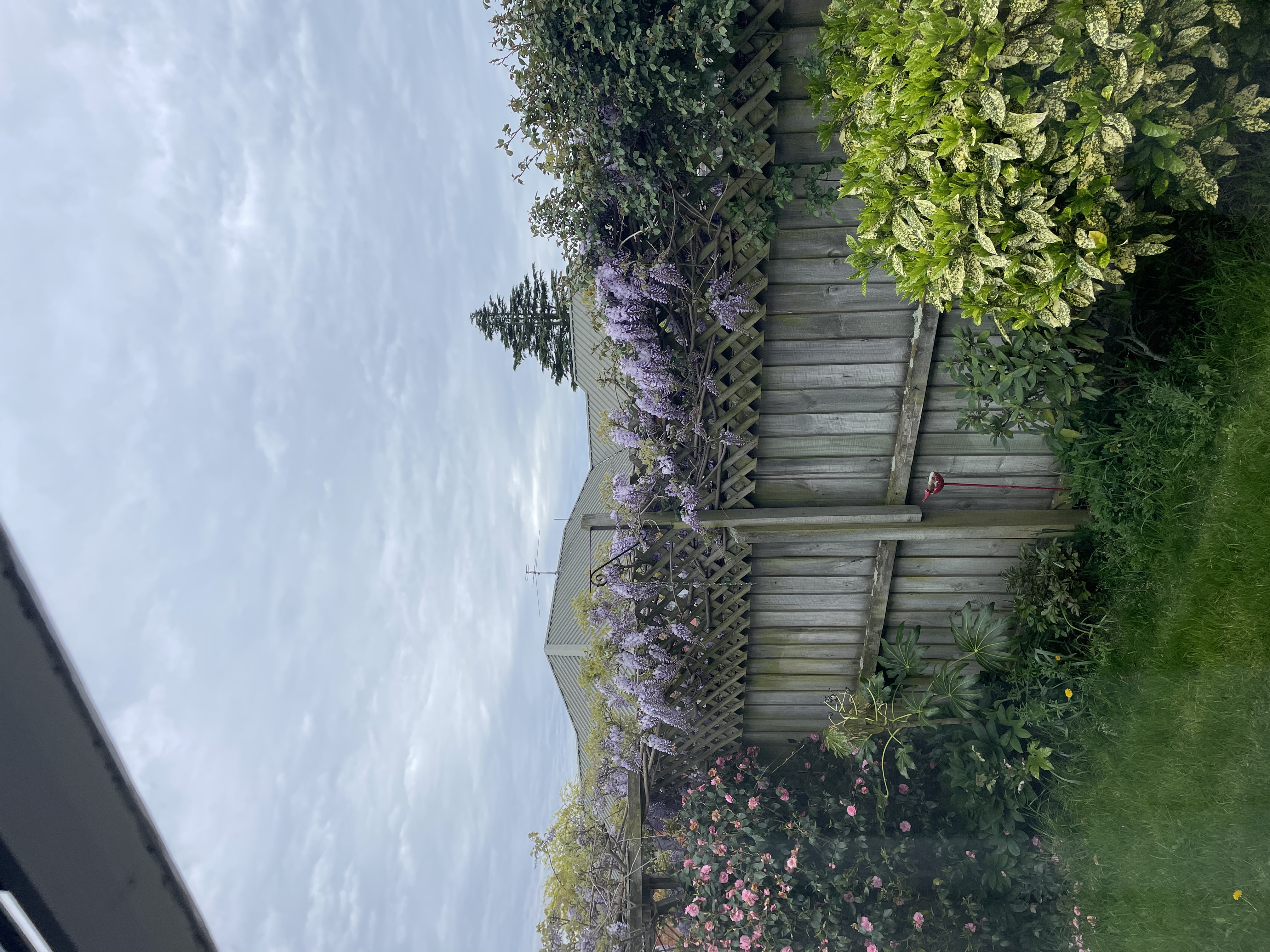 image-6