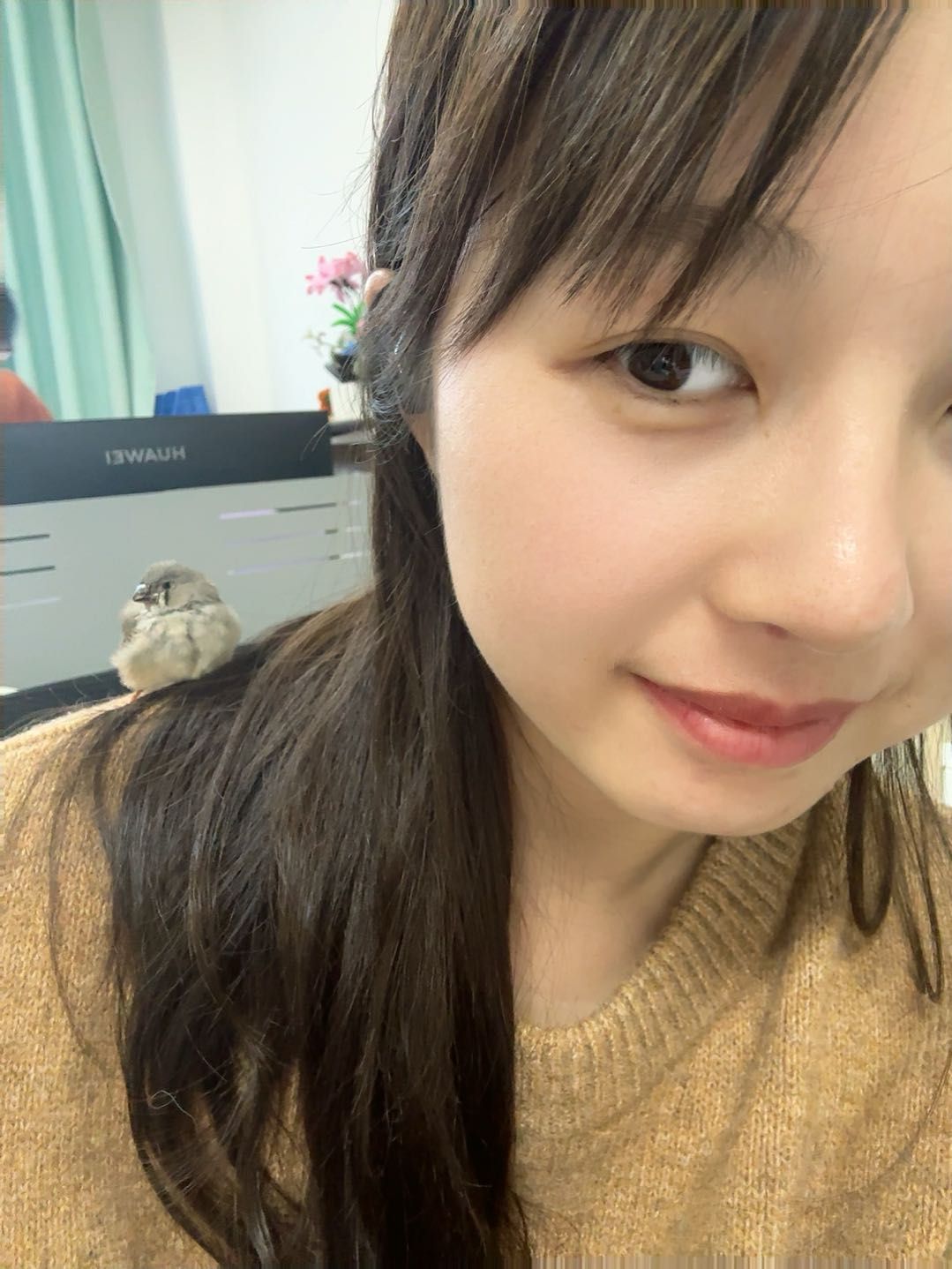 image-3