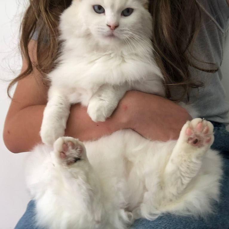 Bella