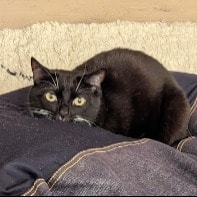 Missy