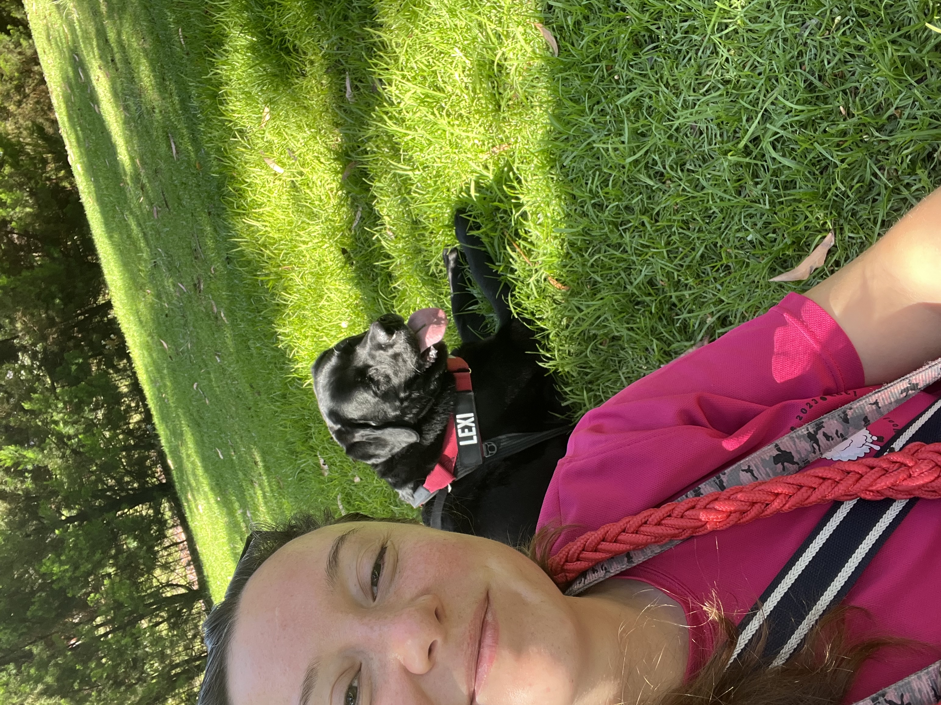 image-15