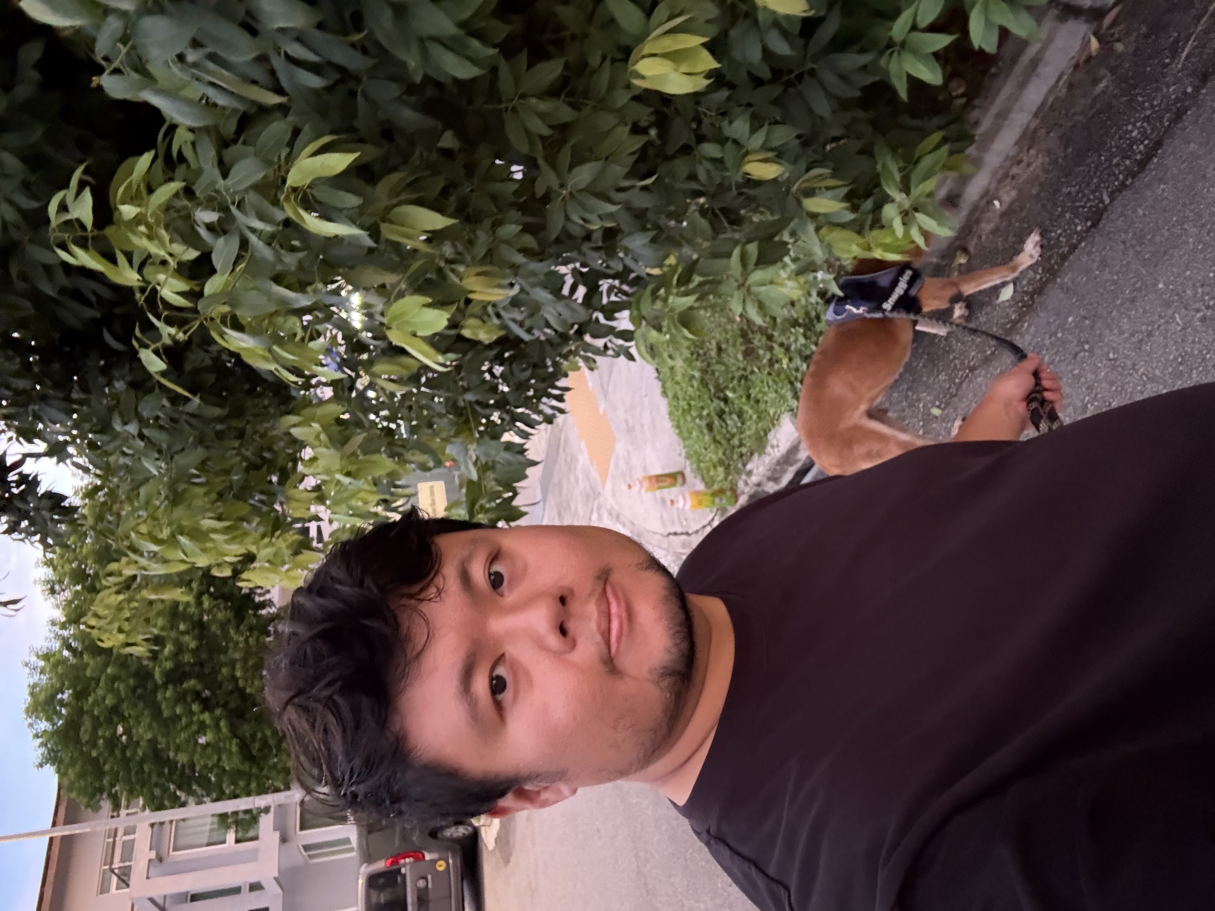 image-8